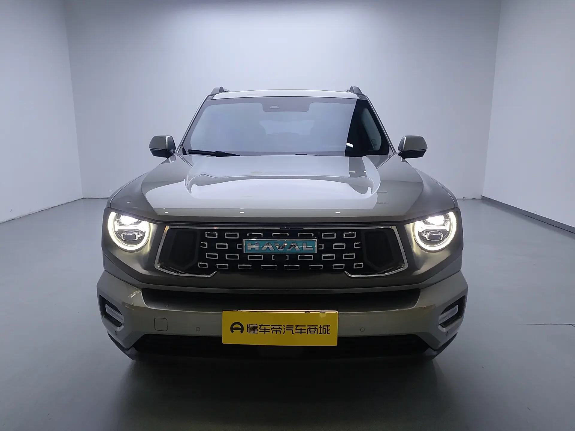 Haval Big Dog PLUS PHEV  из Китая