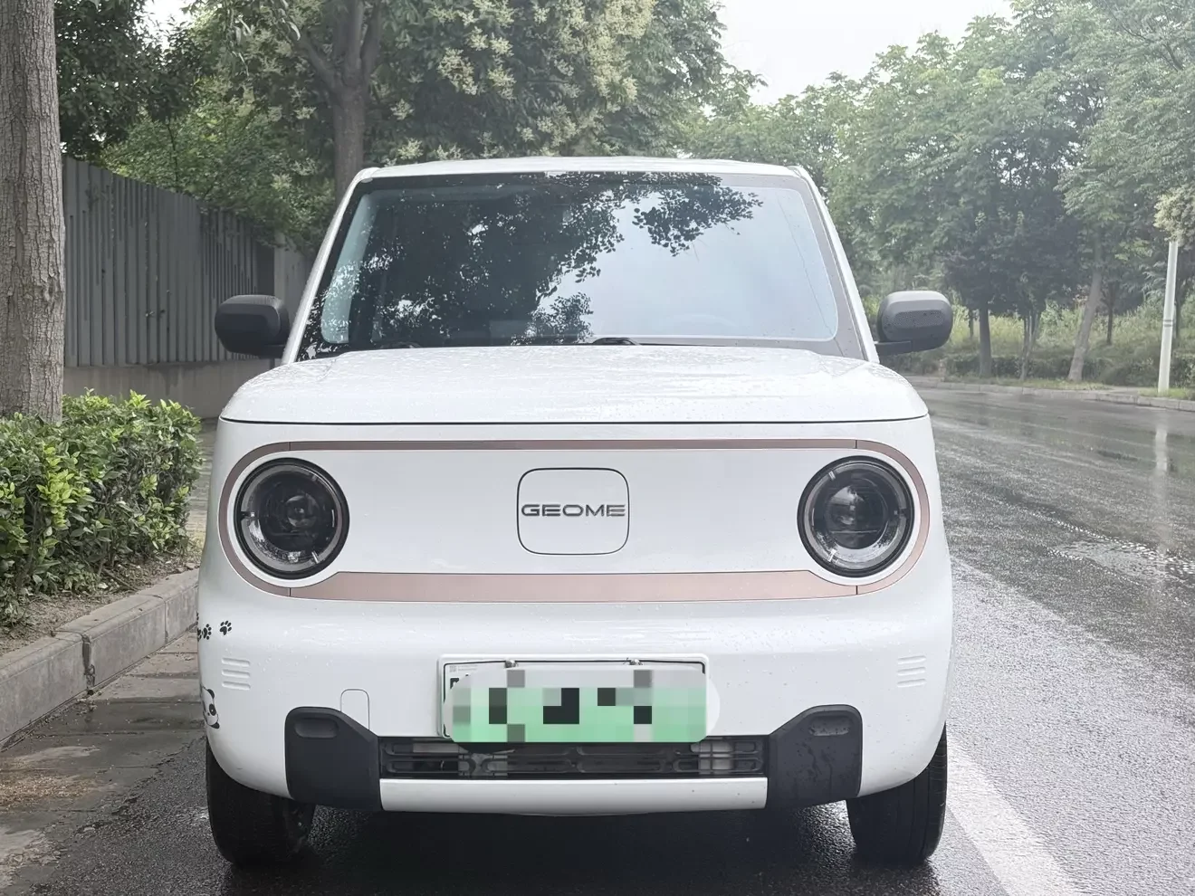 Geely panda