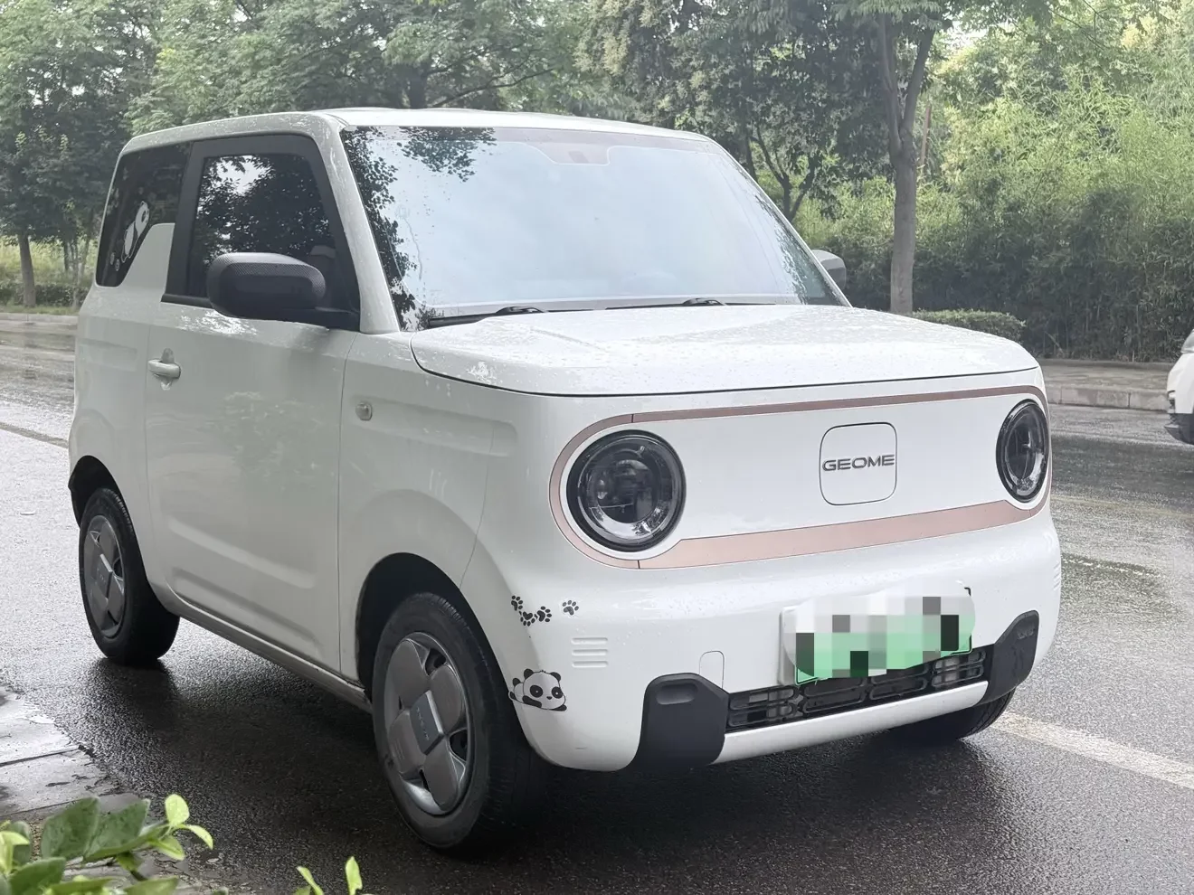 Geely panda