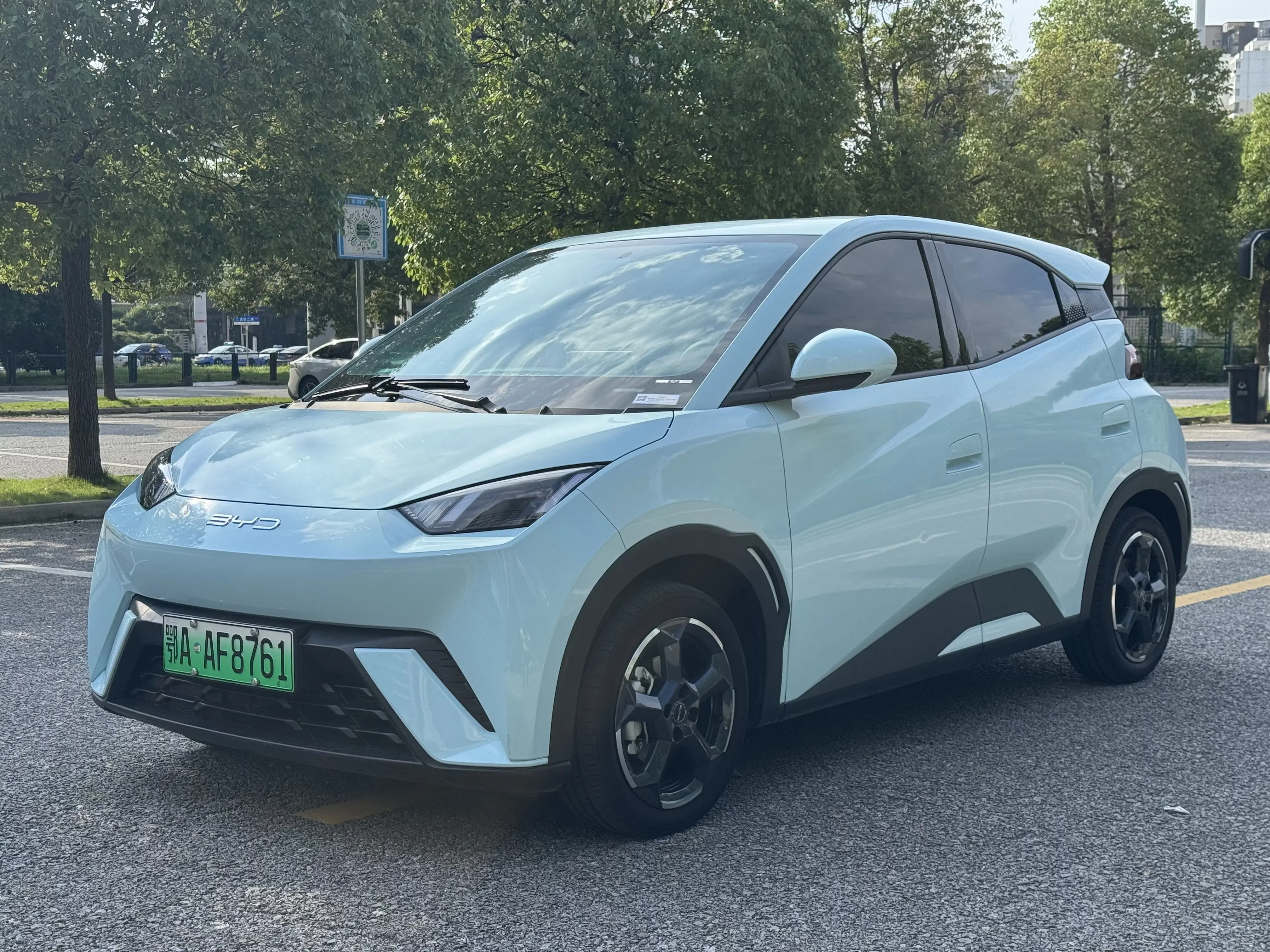BYD seagull