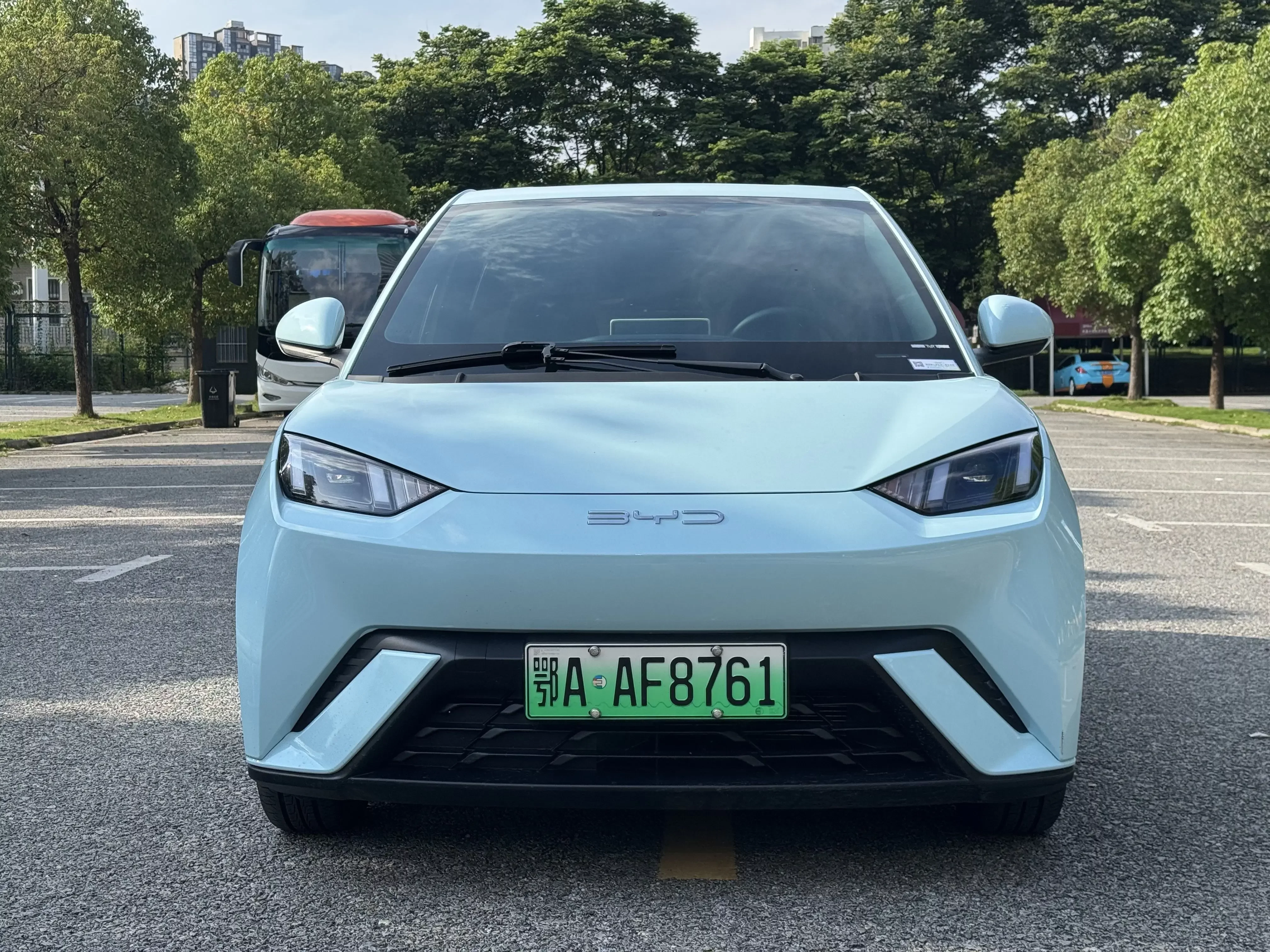 BYD seagull