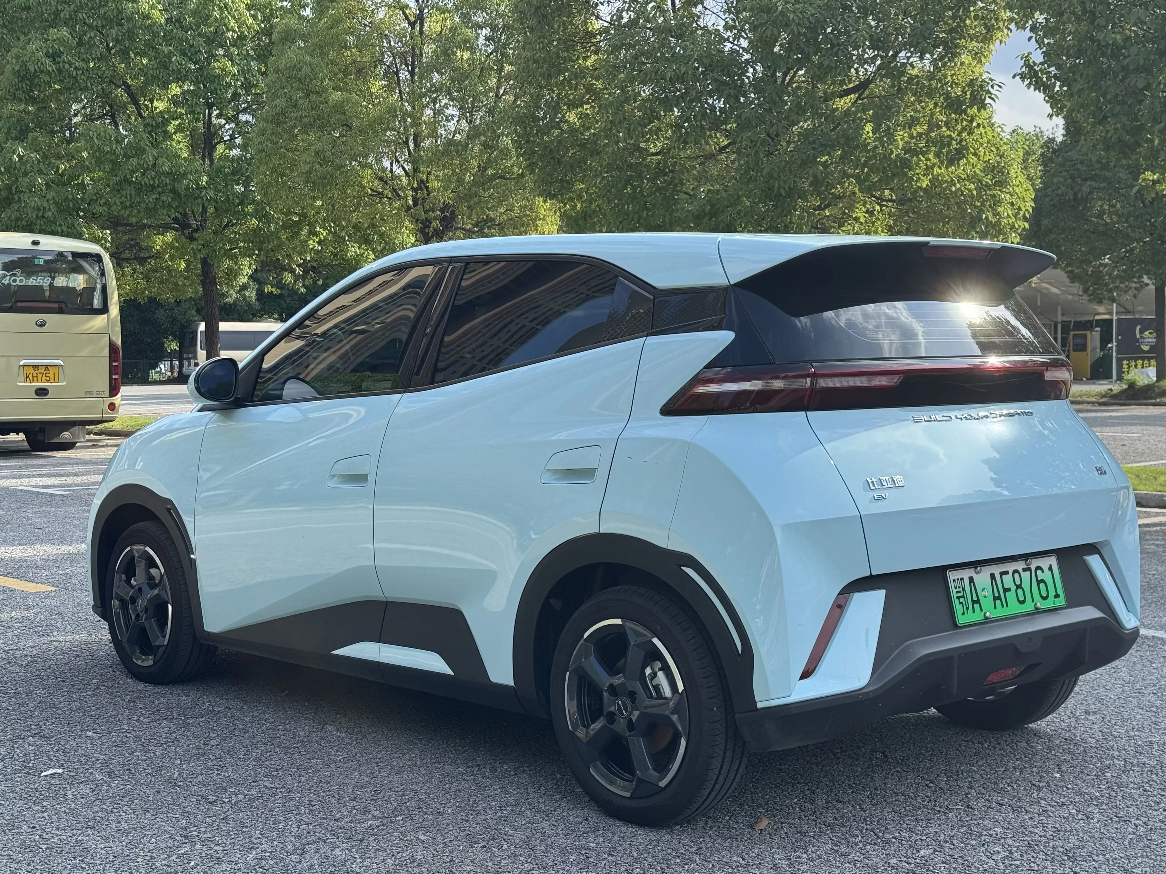 BYD seagull