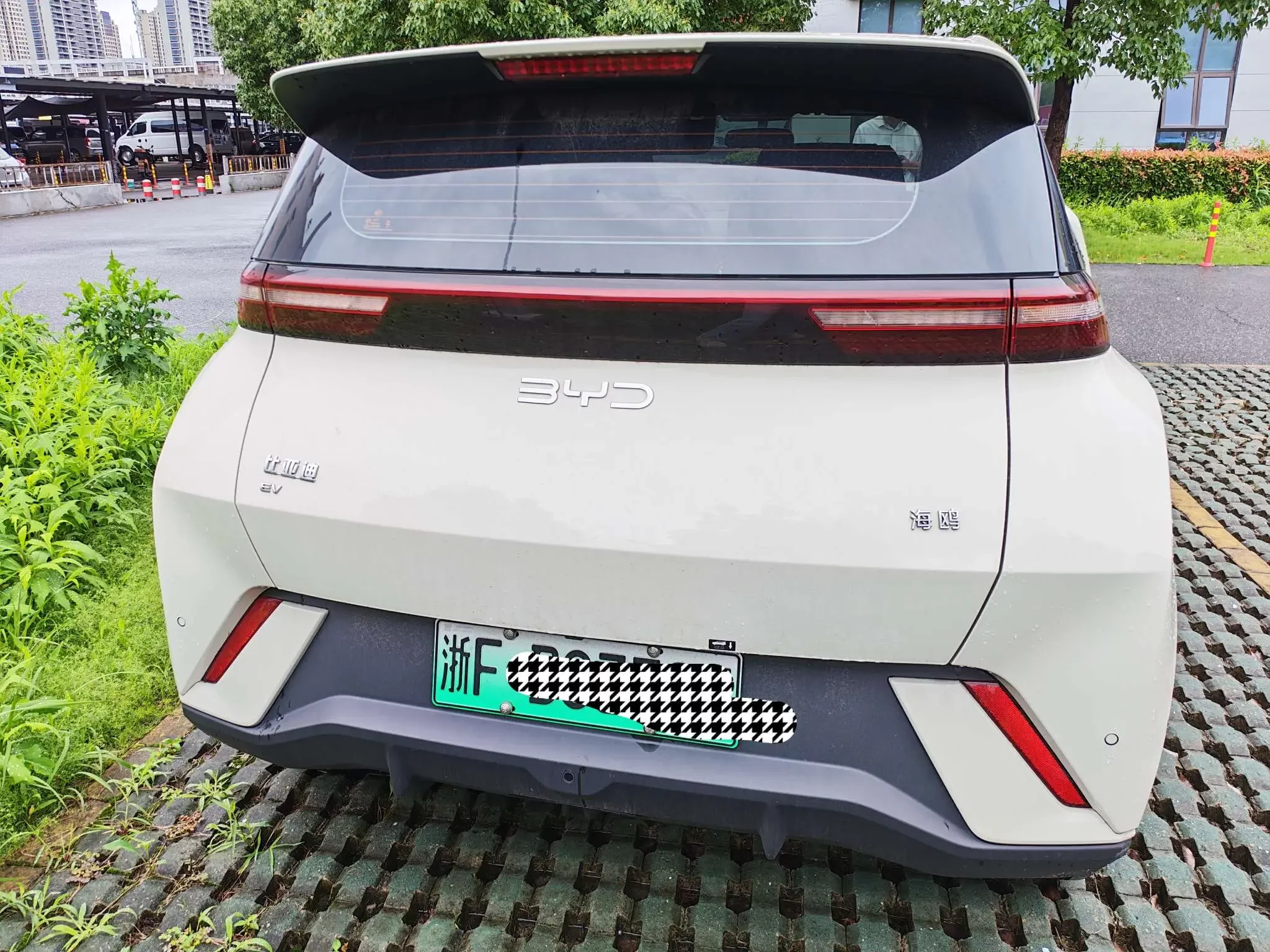 BYD seagull