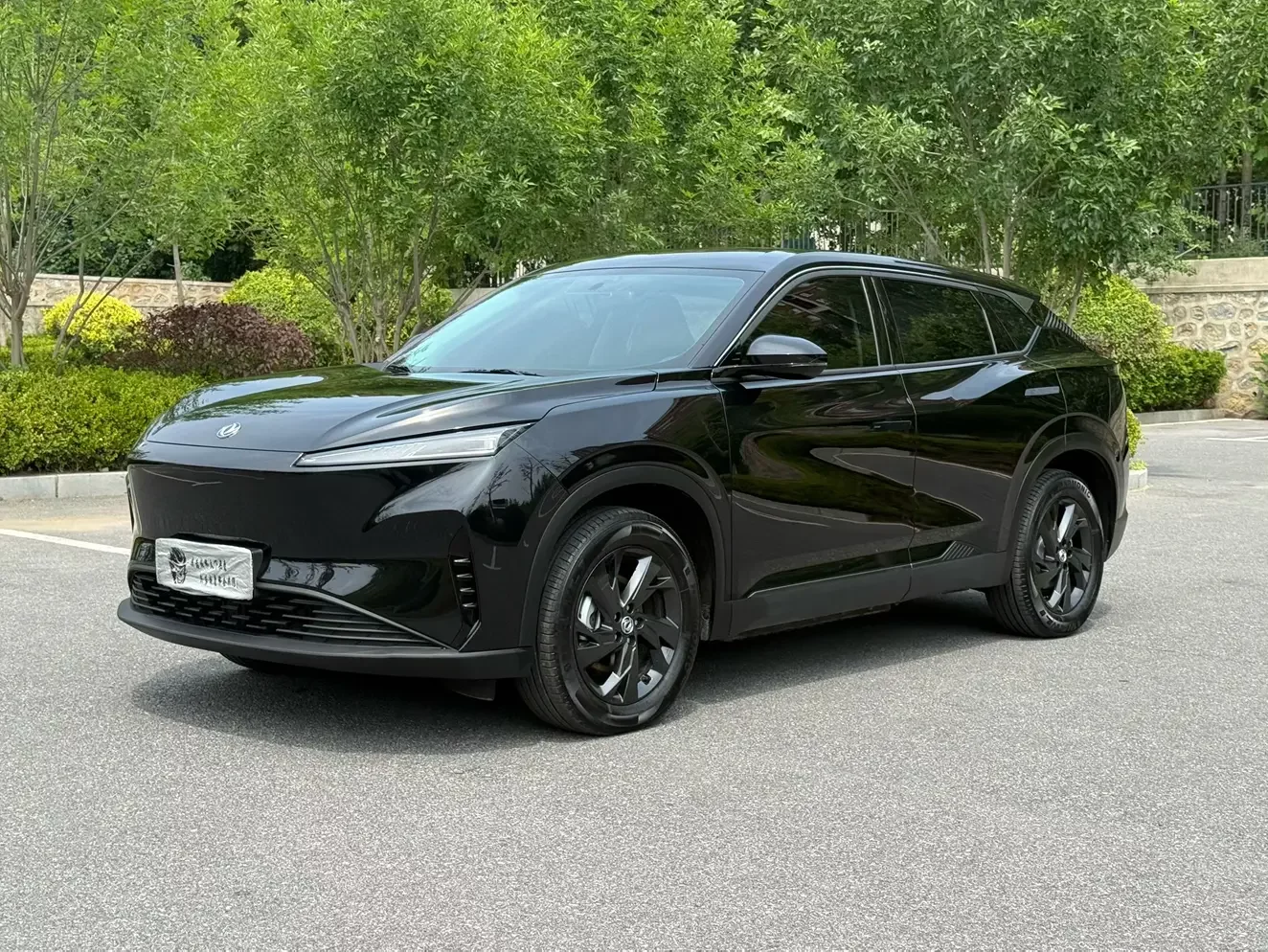 Dongfeng SKY EV01