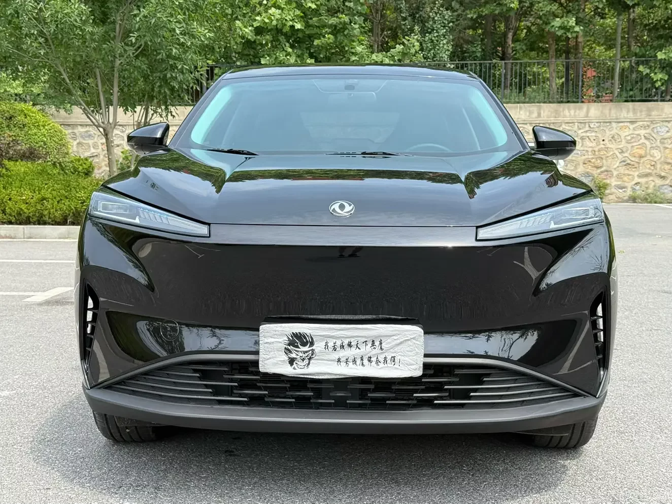Dongfeng SKY EV01