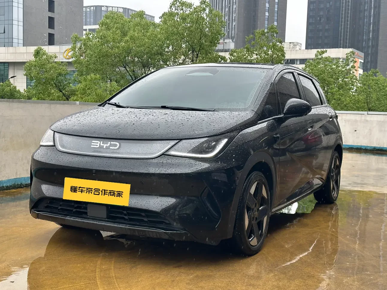 BYD dolphin