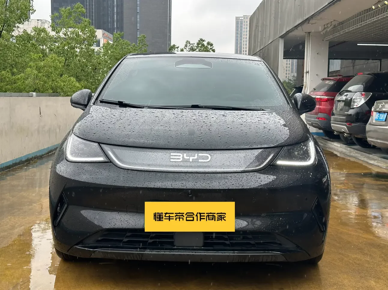 BYD dolphin