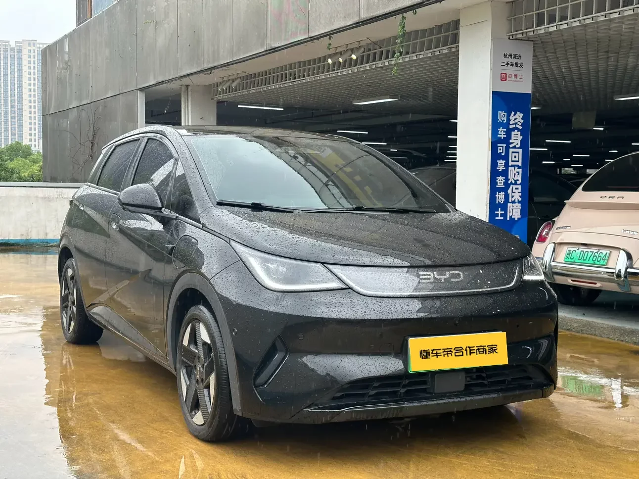 BYD dolphin