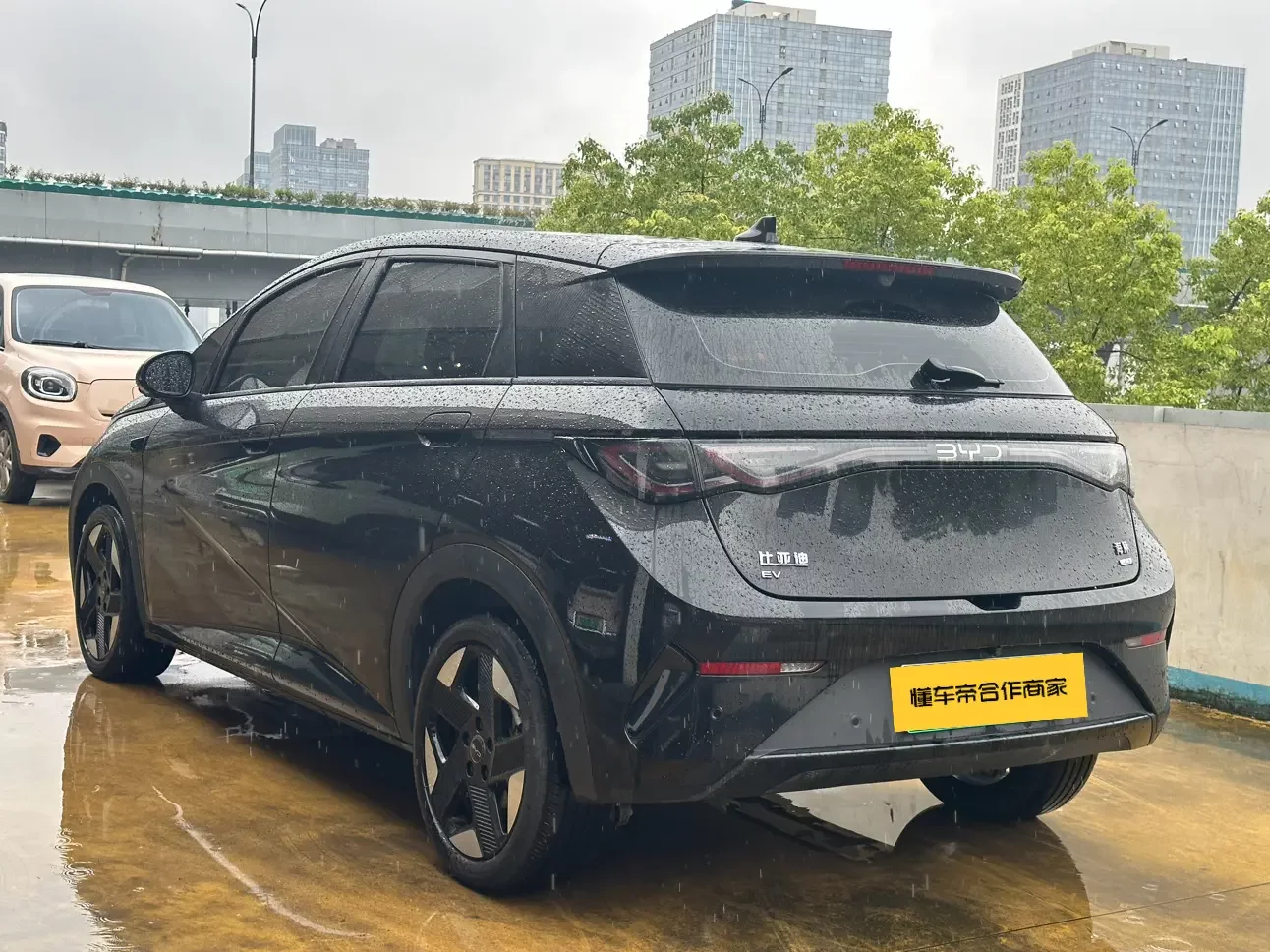 BYD dolphin