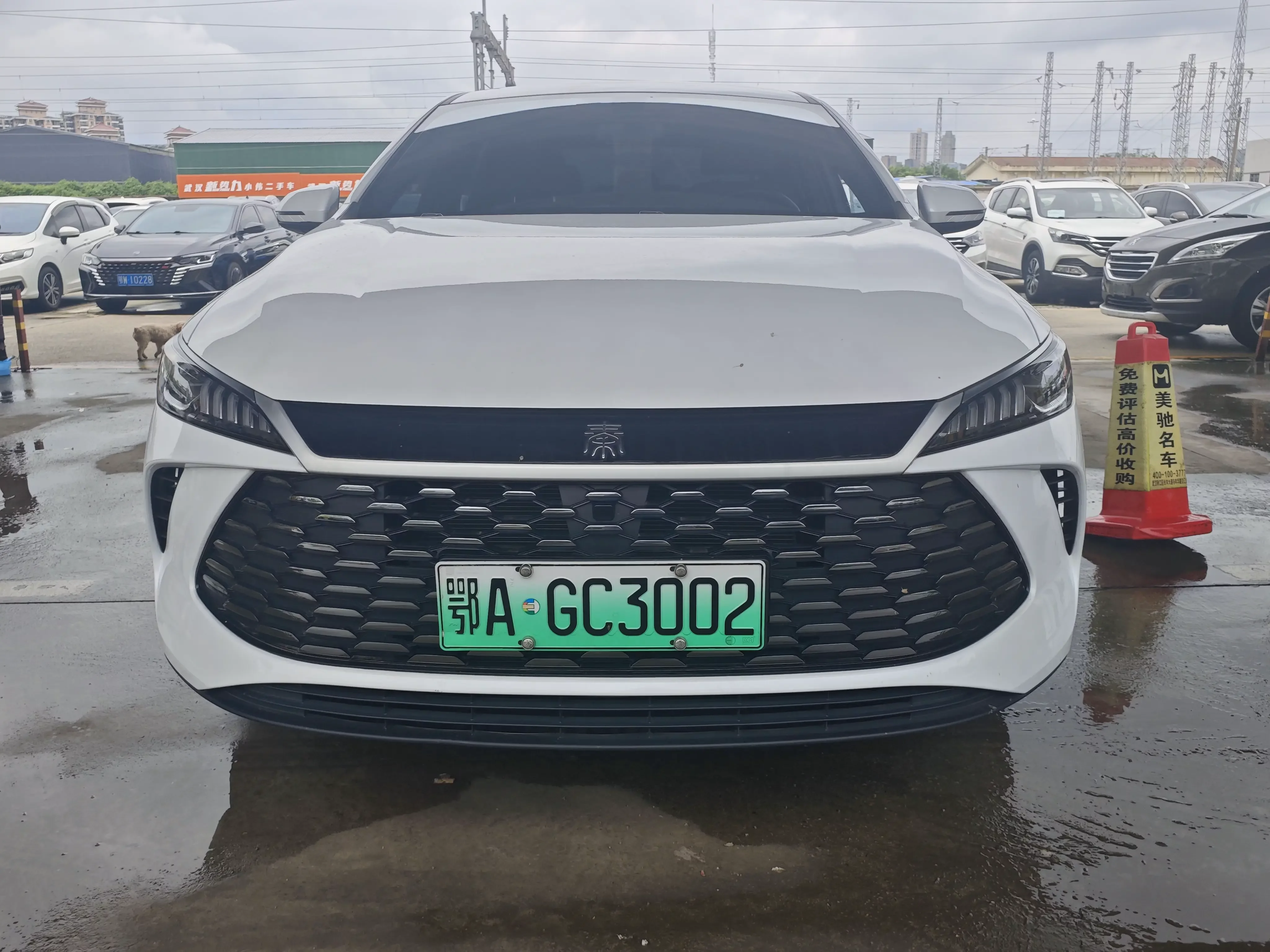 BYD Qin PLUS DM