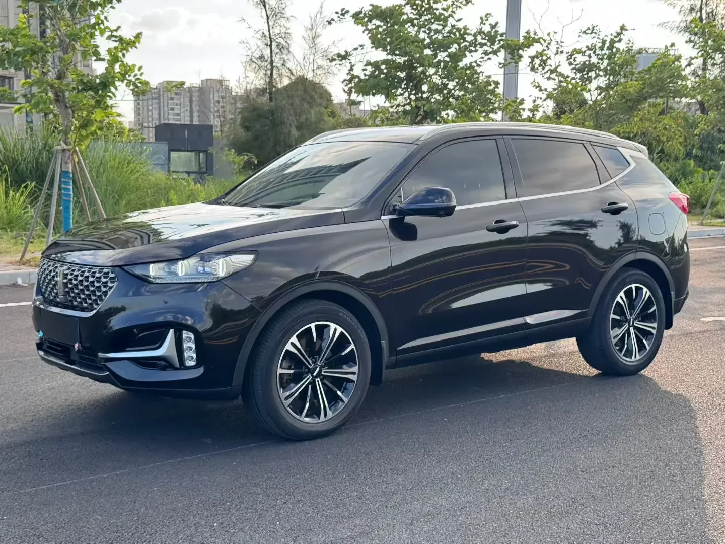 Wey Wei brand VV6