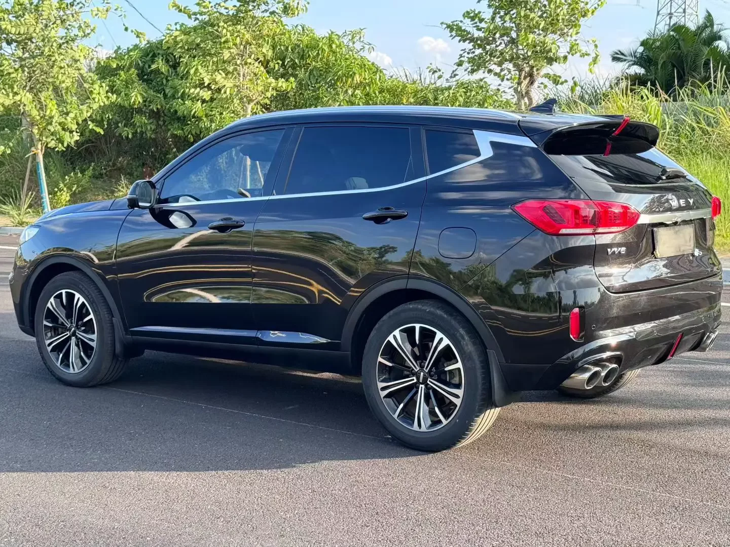 Wey Wei brand VV6
