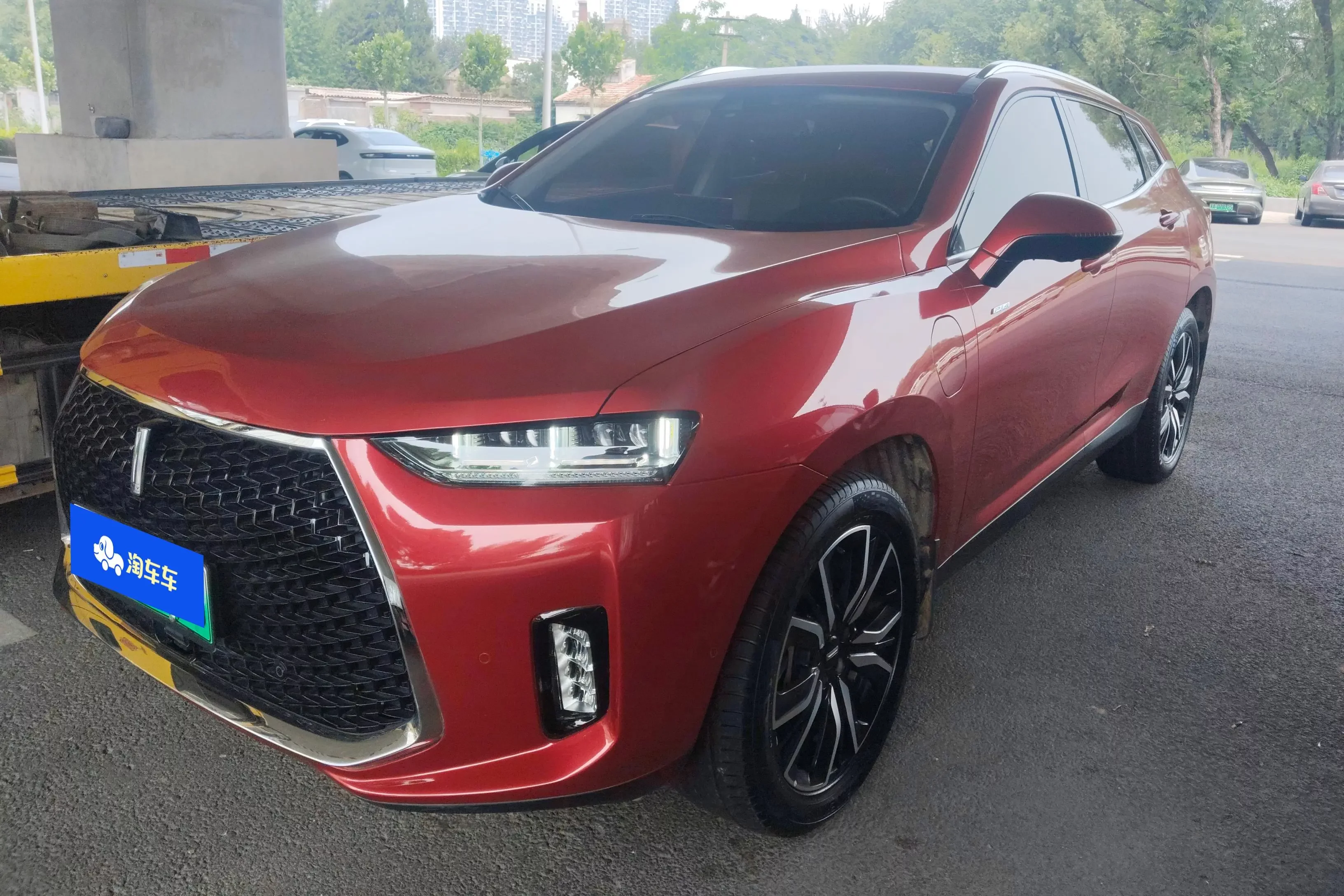 Wey Wei brand P8