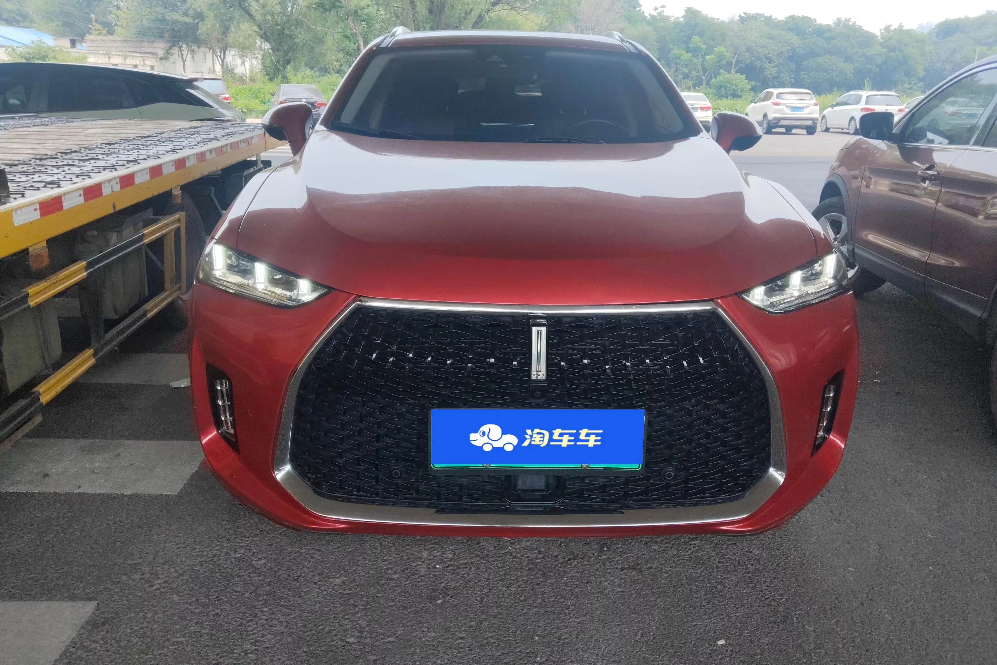 Wey Wei brand P8