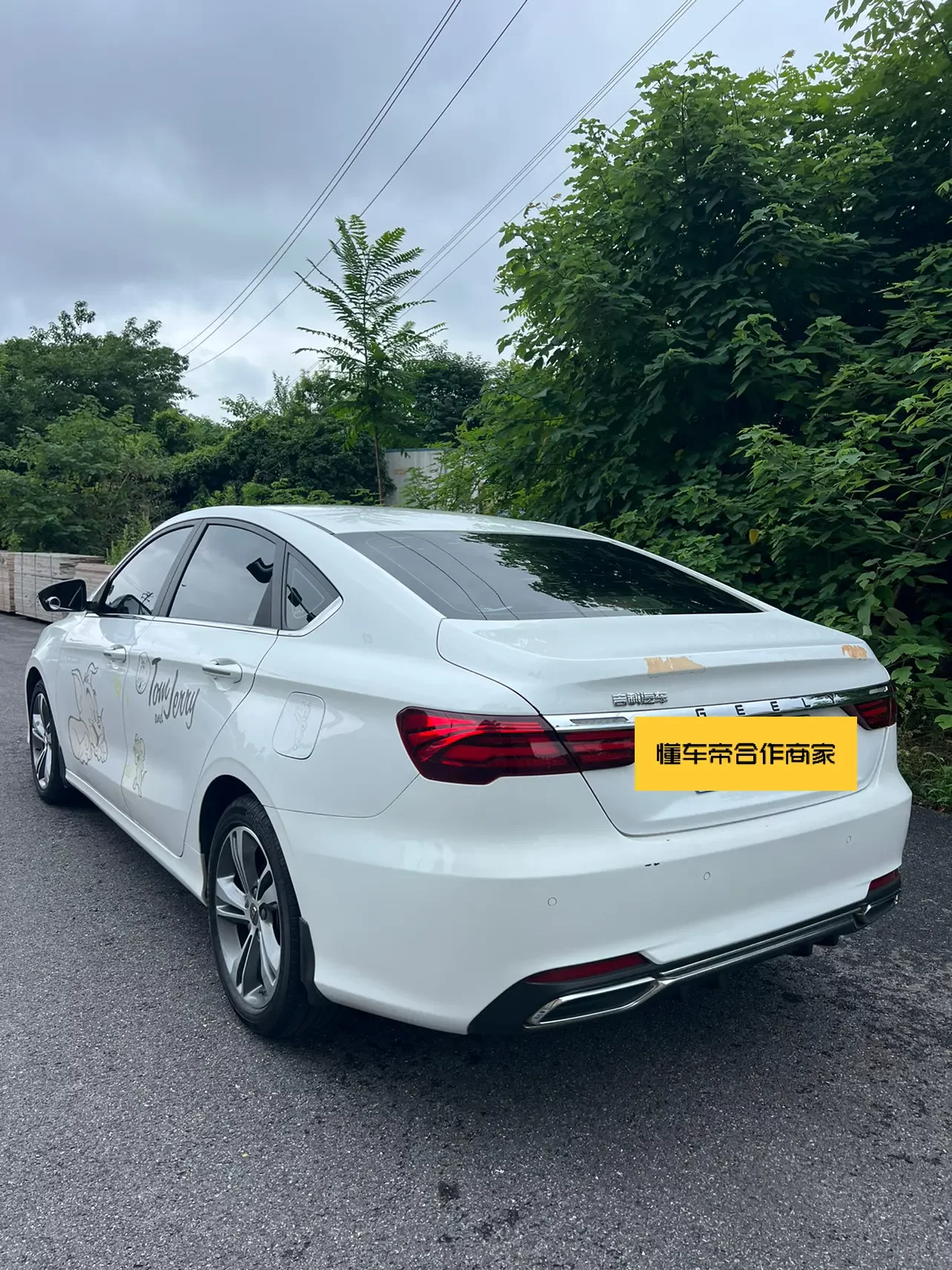 Geely Binrui