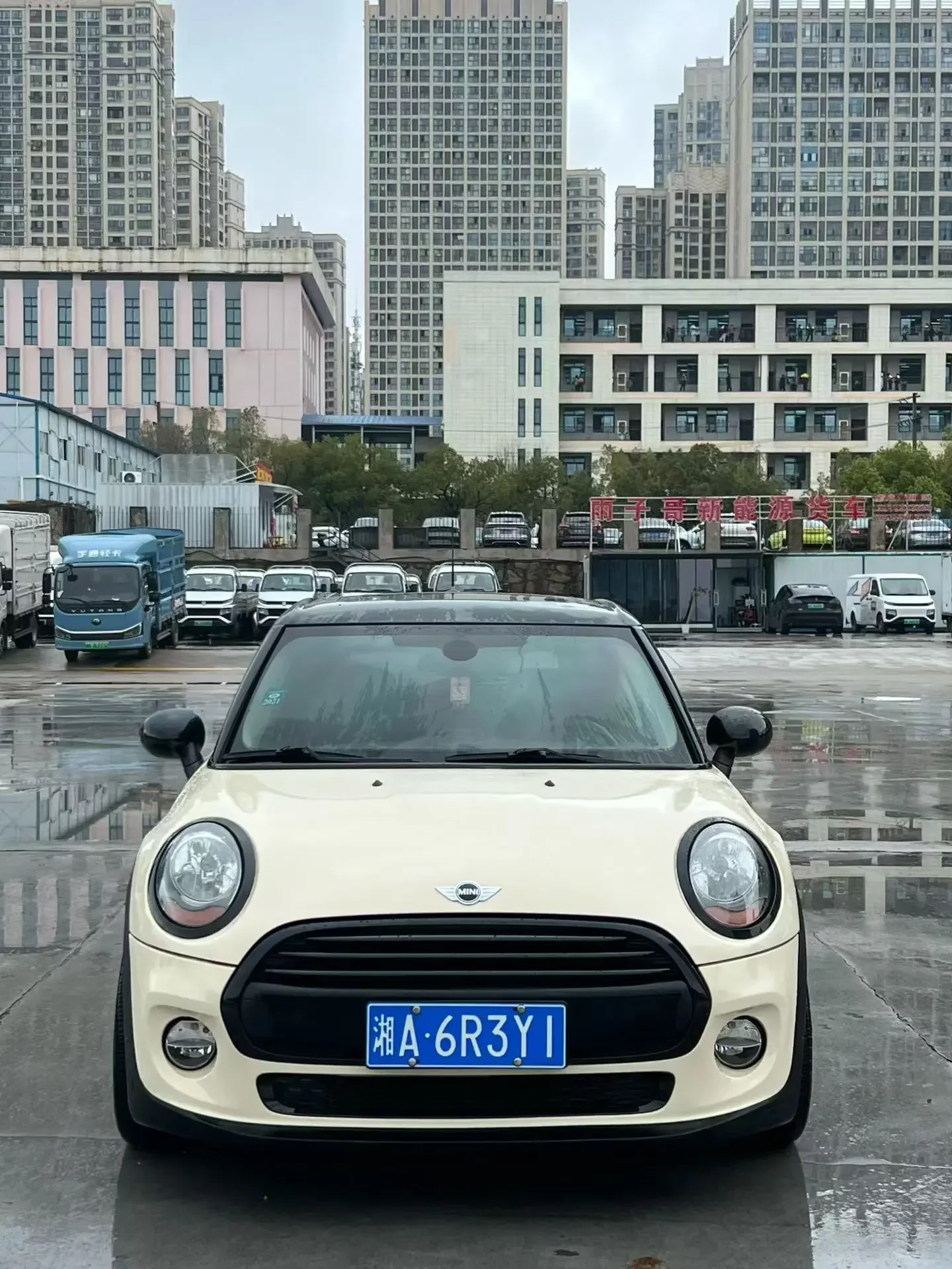 MINI 