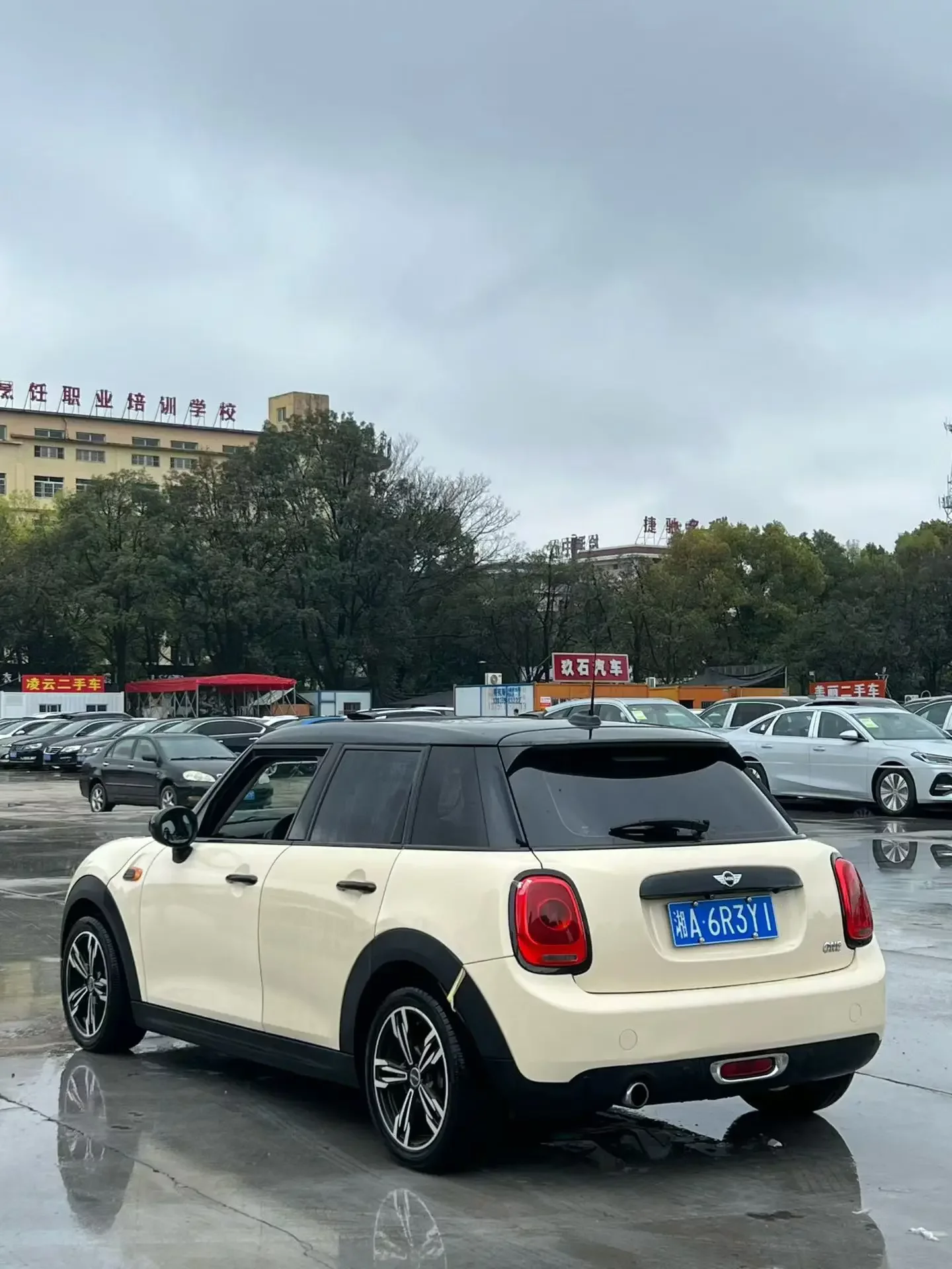 MINI 