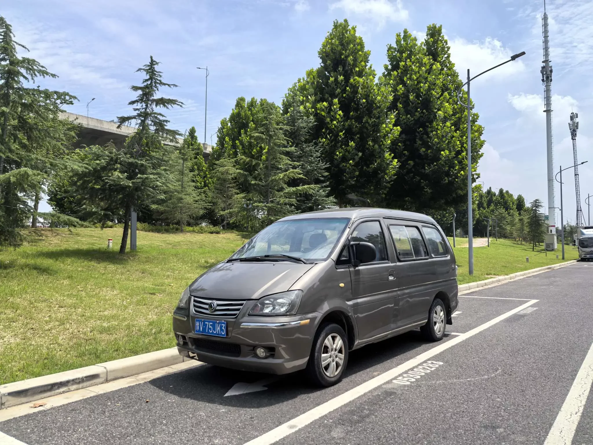 Forthing Lingzhi