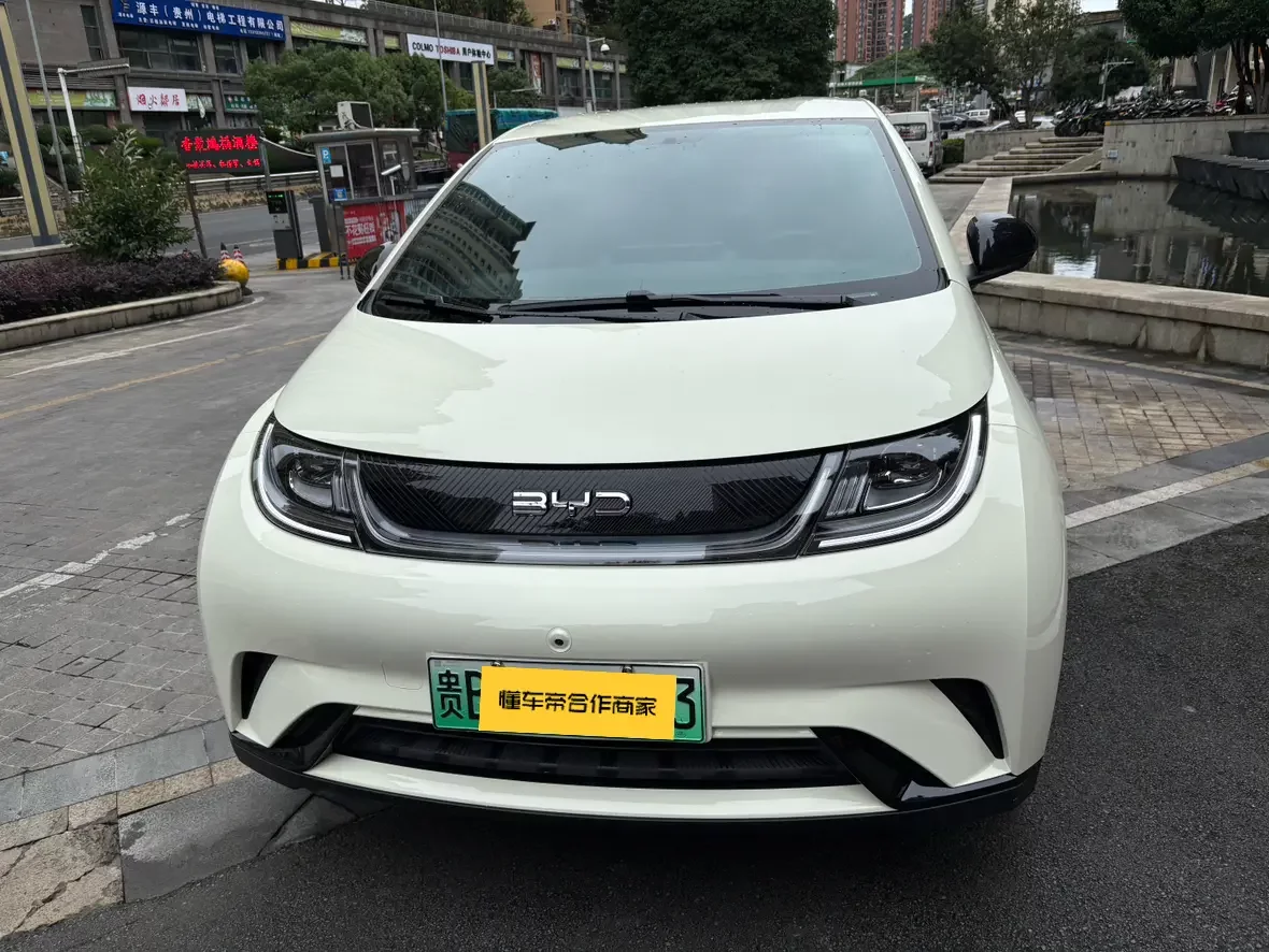 BYD dolphin