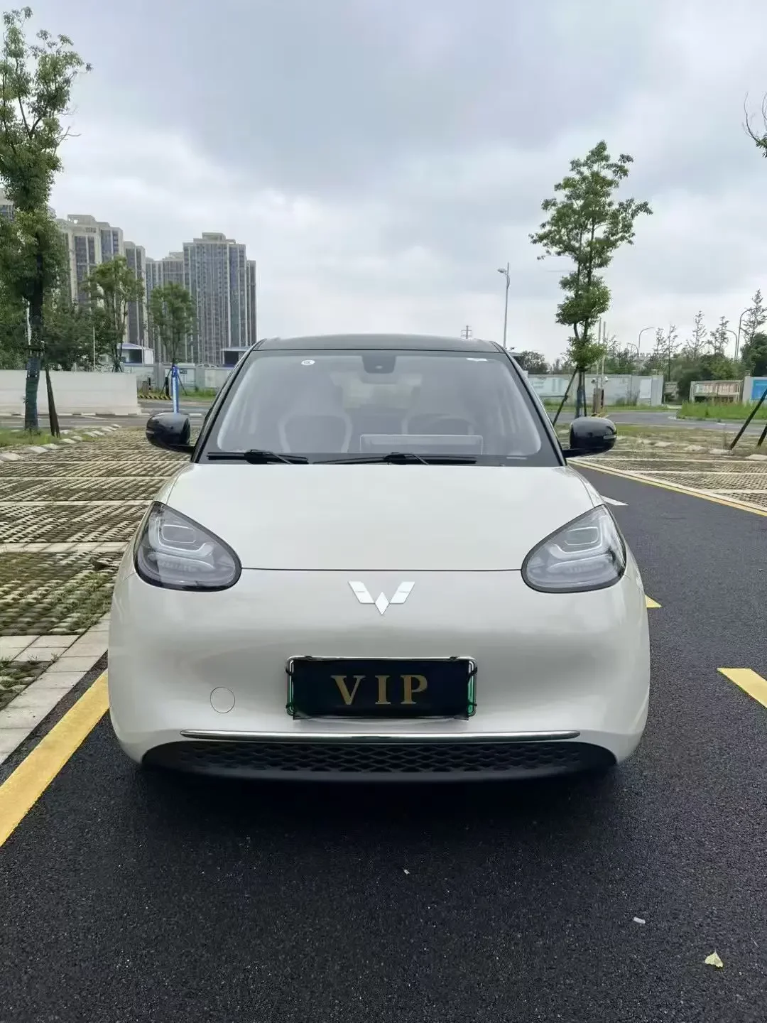 Wuling Bingo