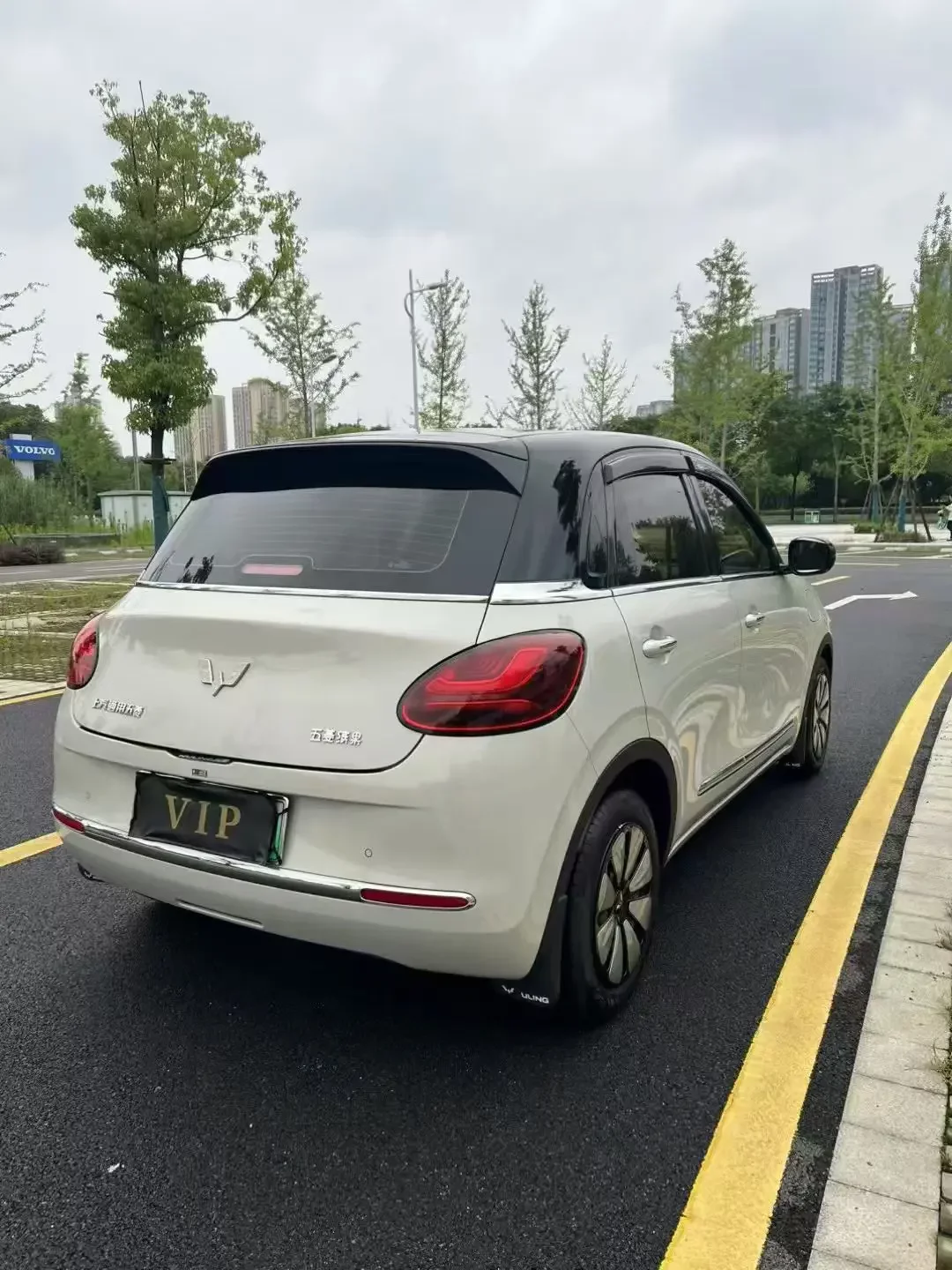 Wuling Bingo