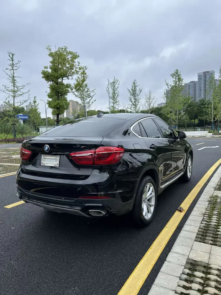 BMW X6