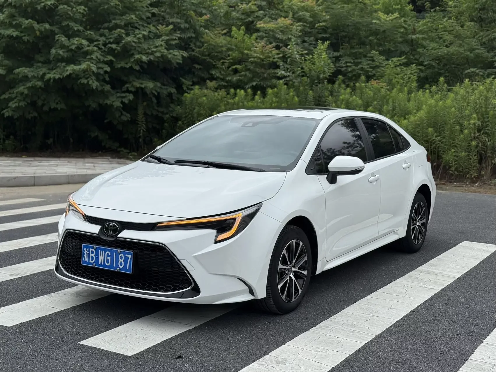 Toyota Levin