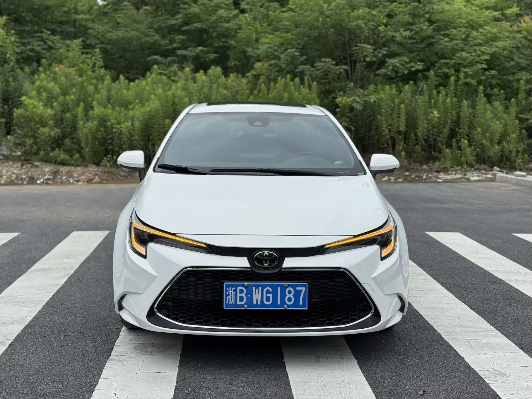 Toyota Levin