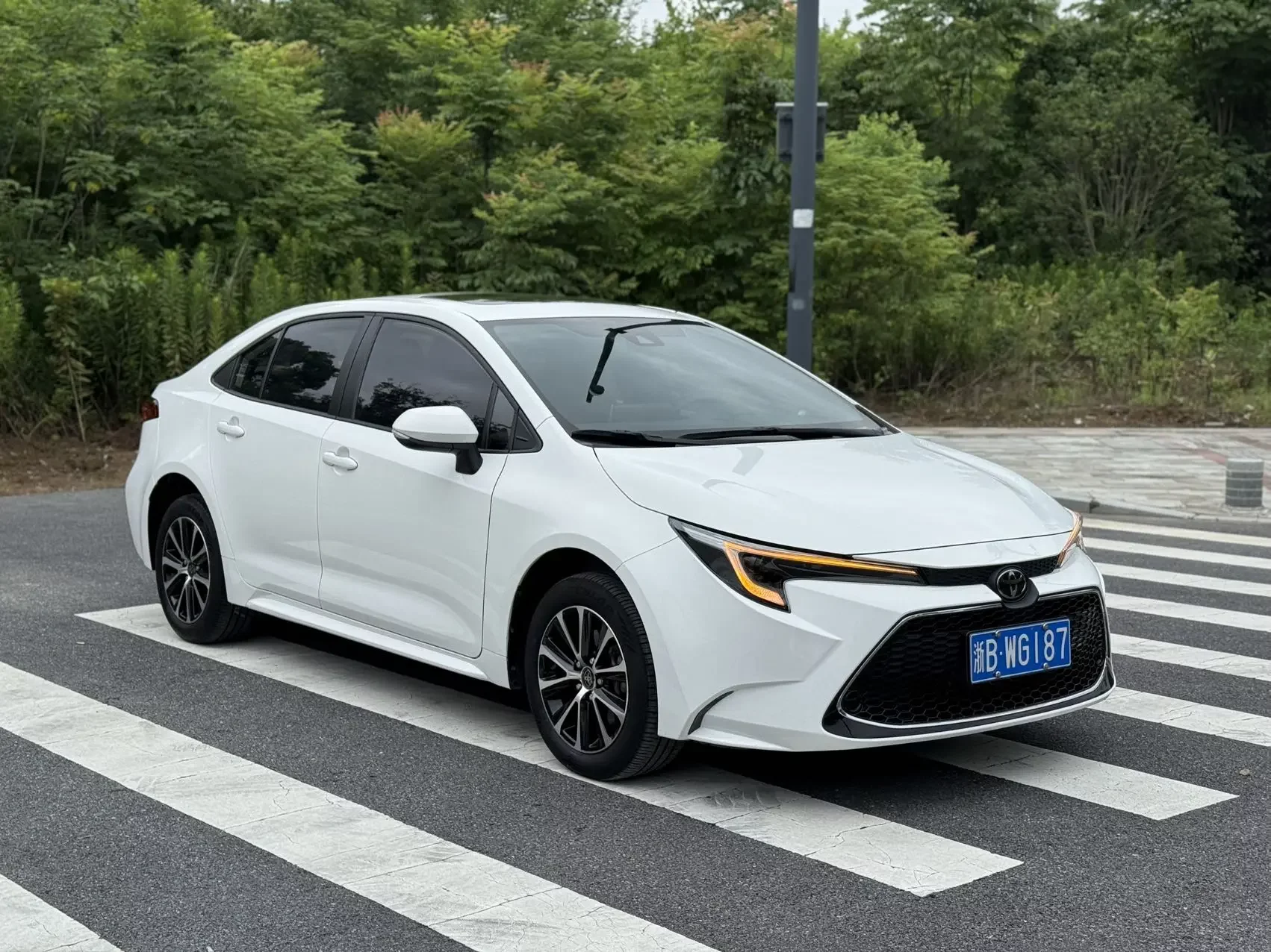Toyota Levin