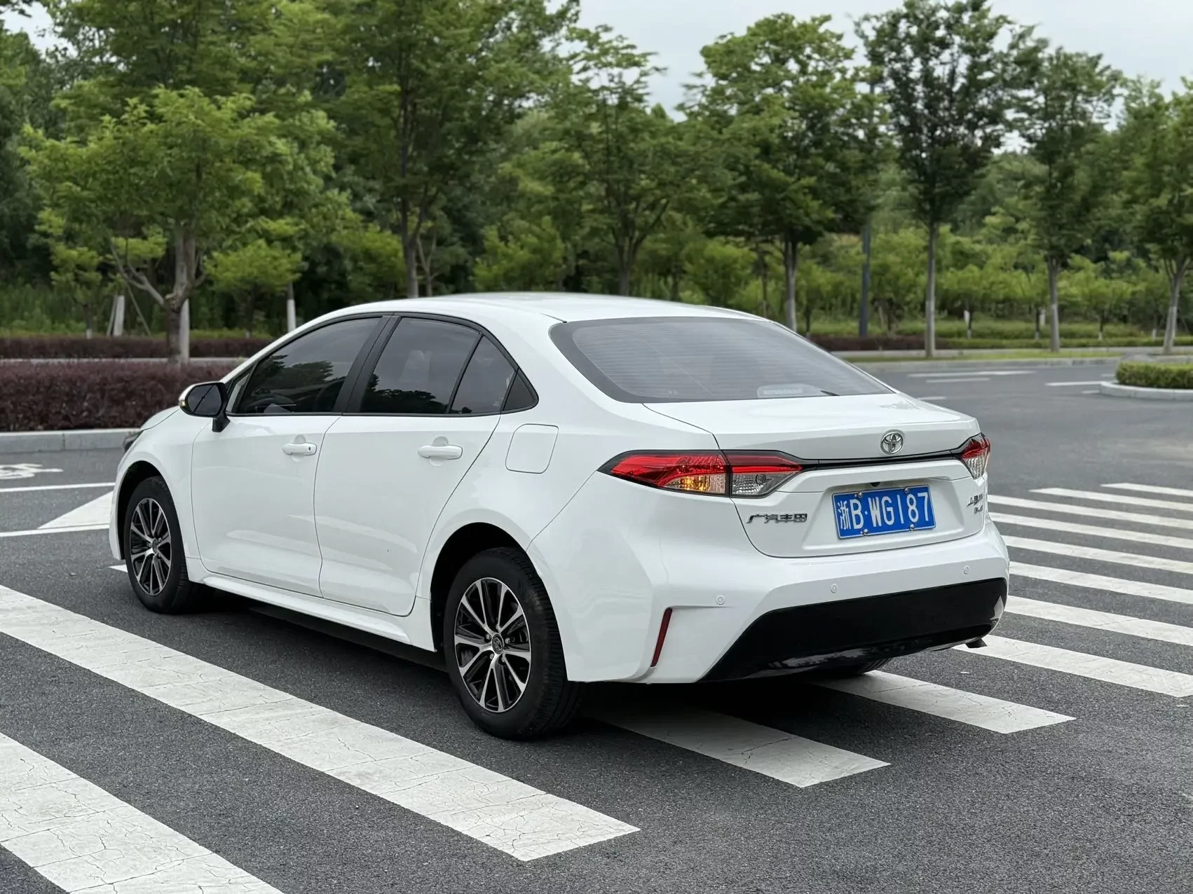 Toyota Levin