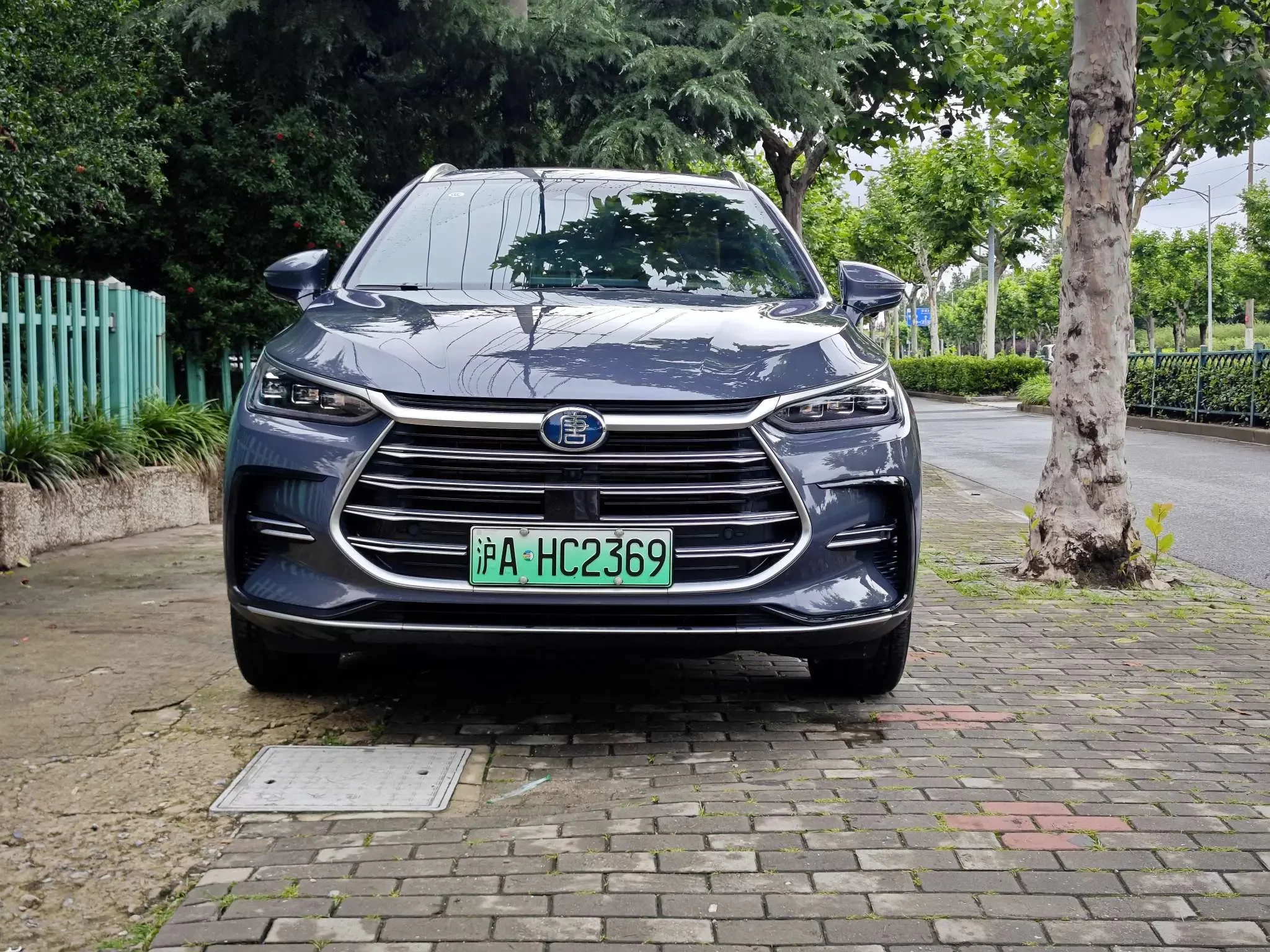 BYD Tang DM