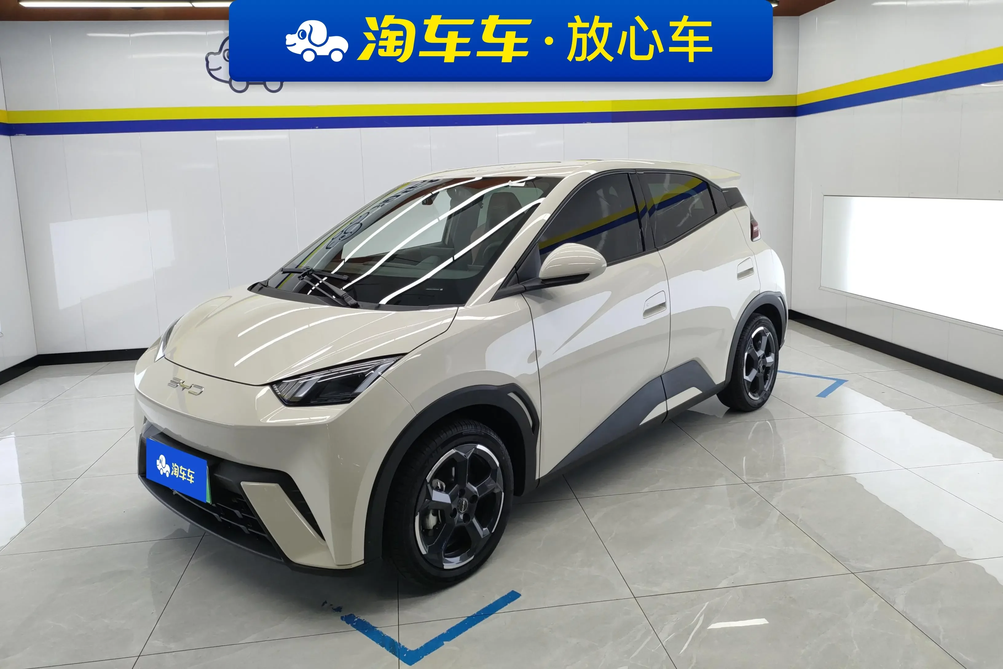 BYD seagull