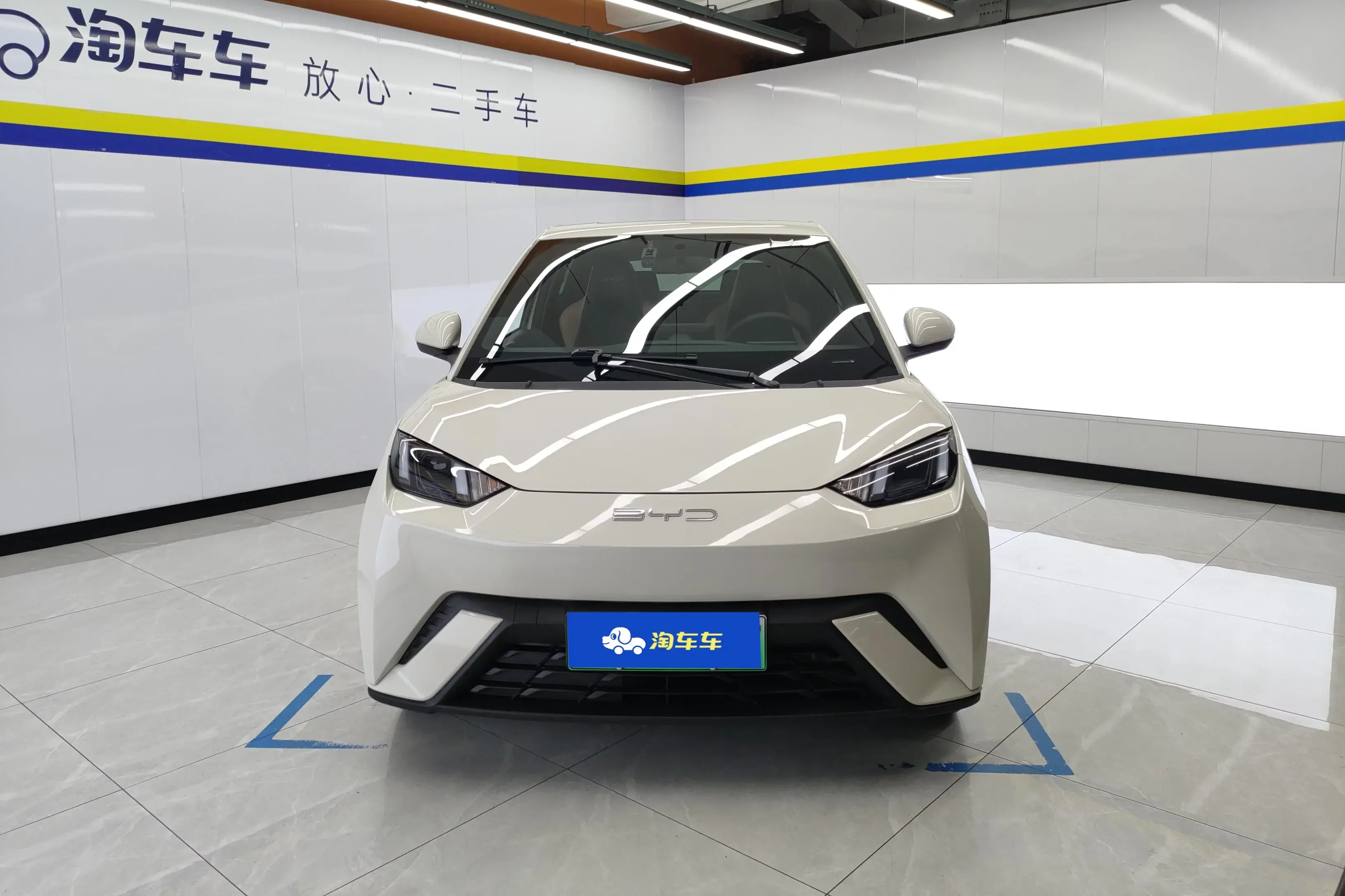 BYD seagull