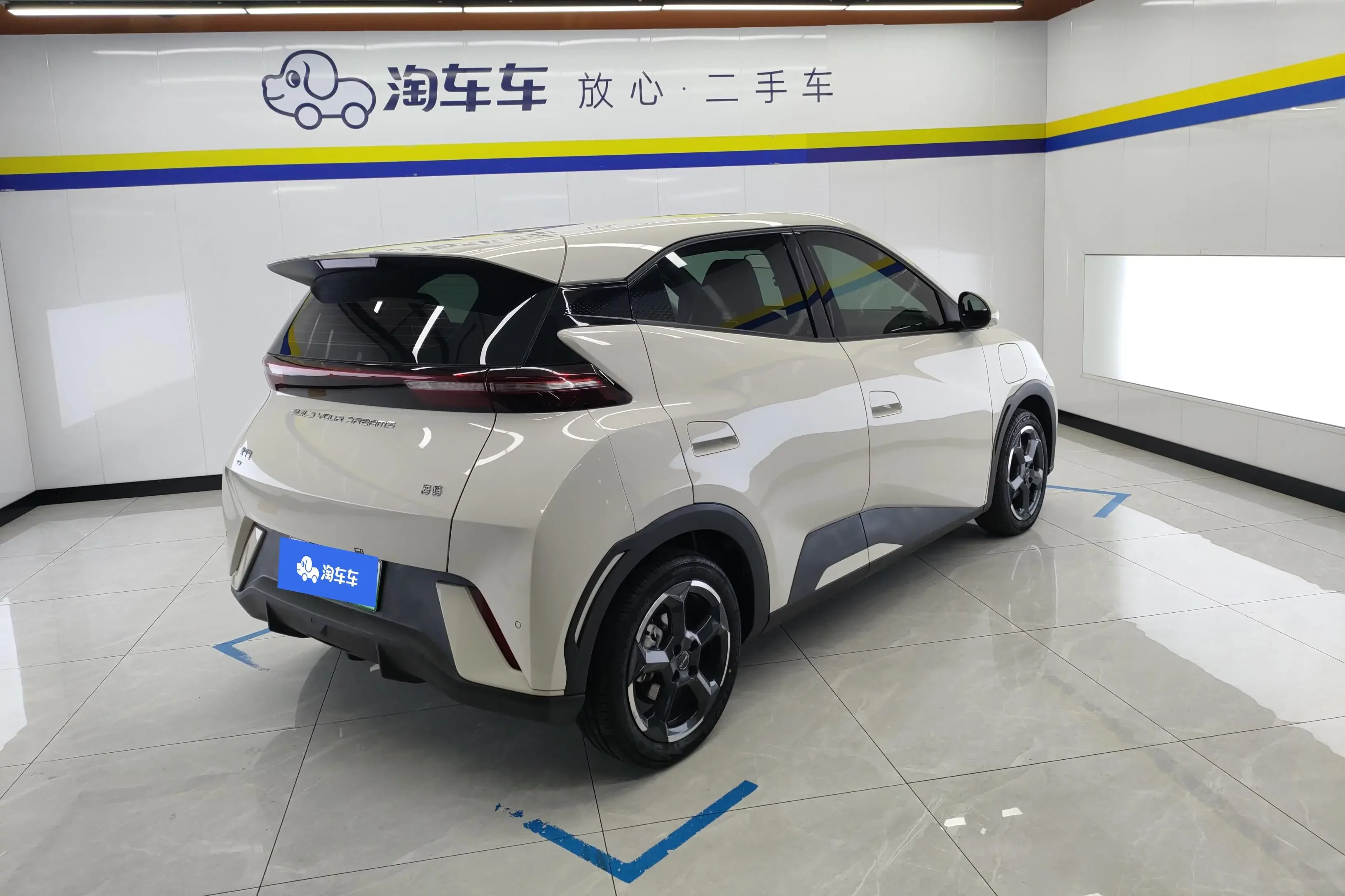 BYD seagull