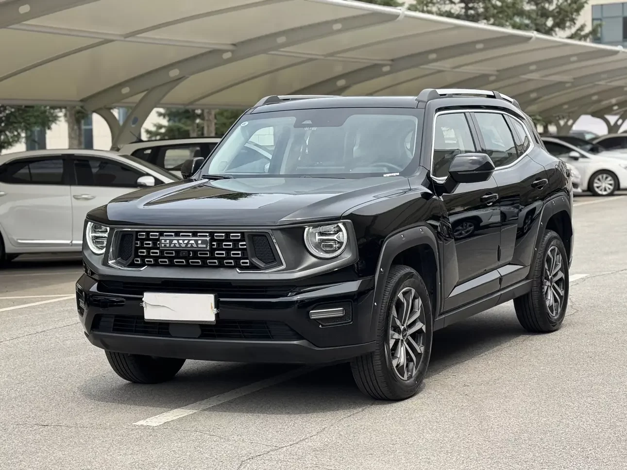 Haval H-Dog