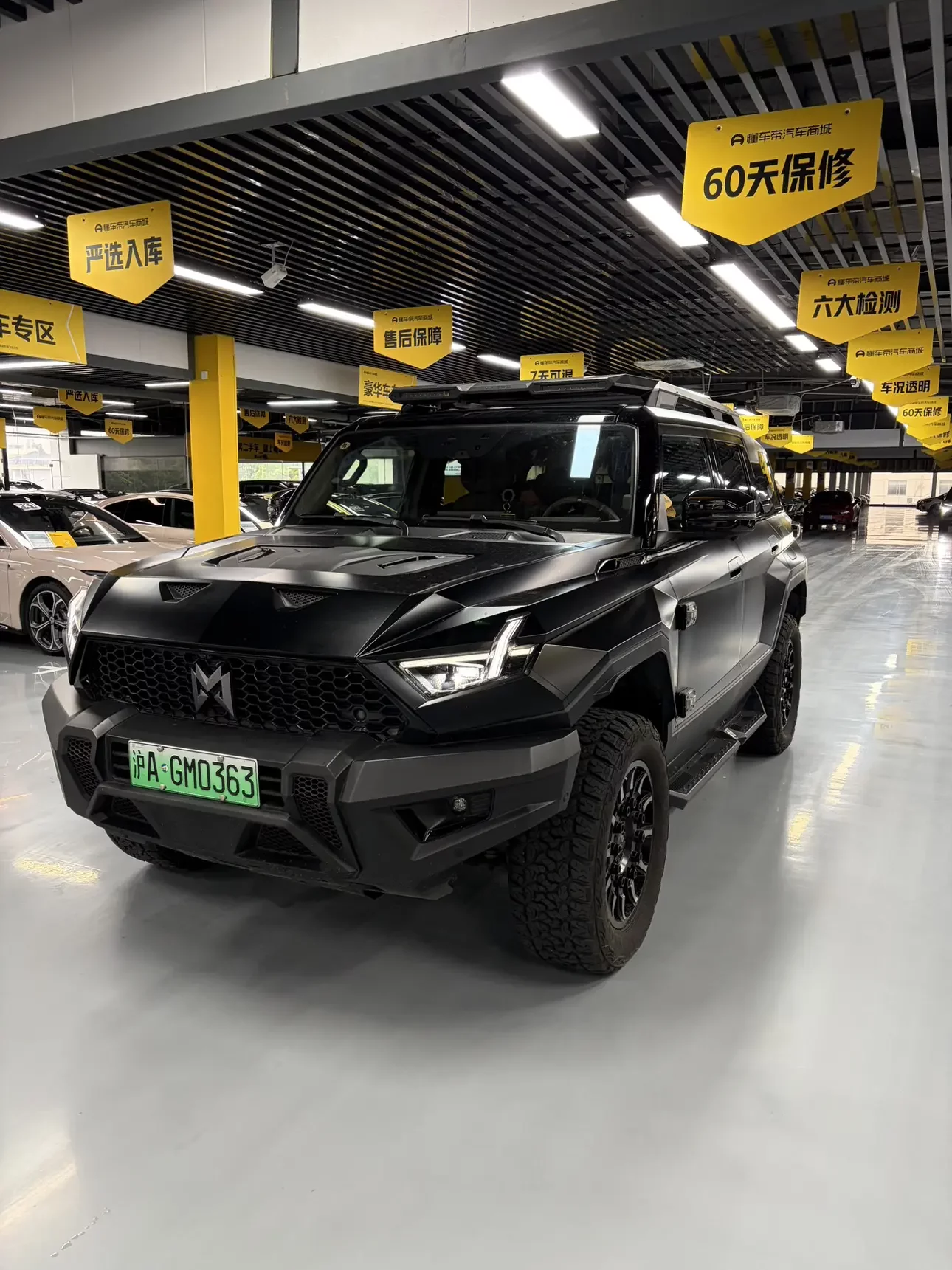 Mengshi Warrior 917