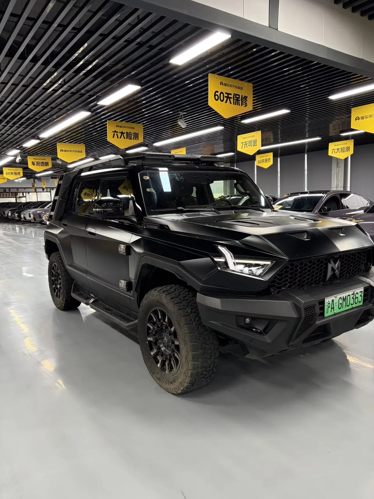 Mengshi Warrior 917
