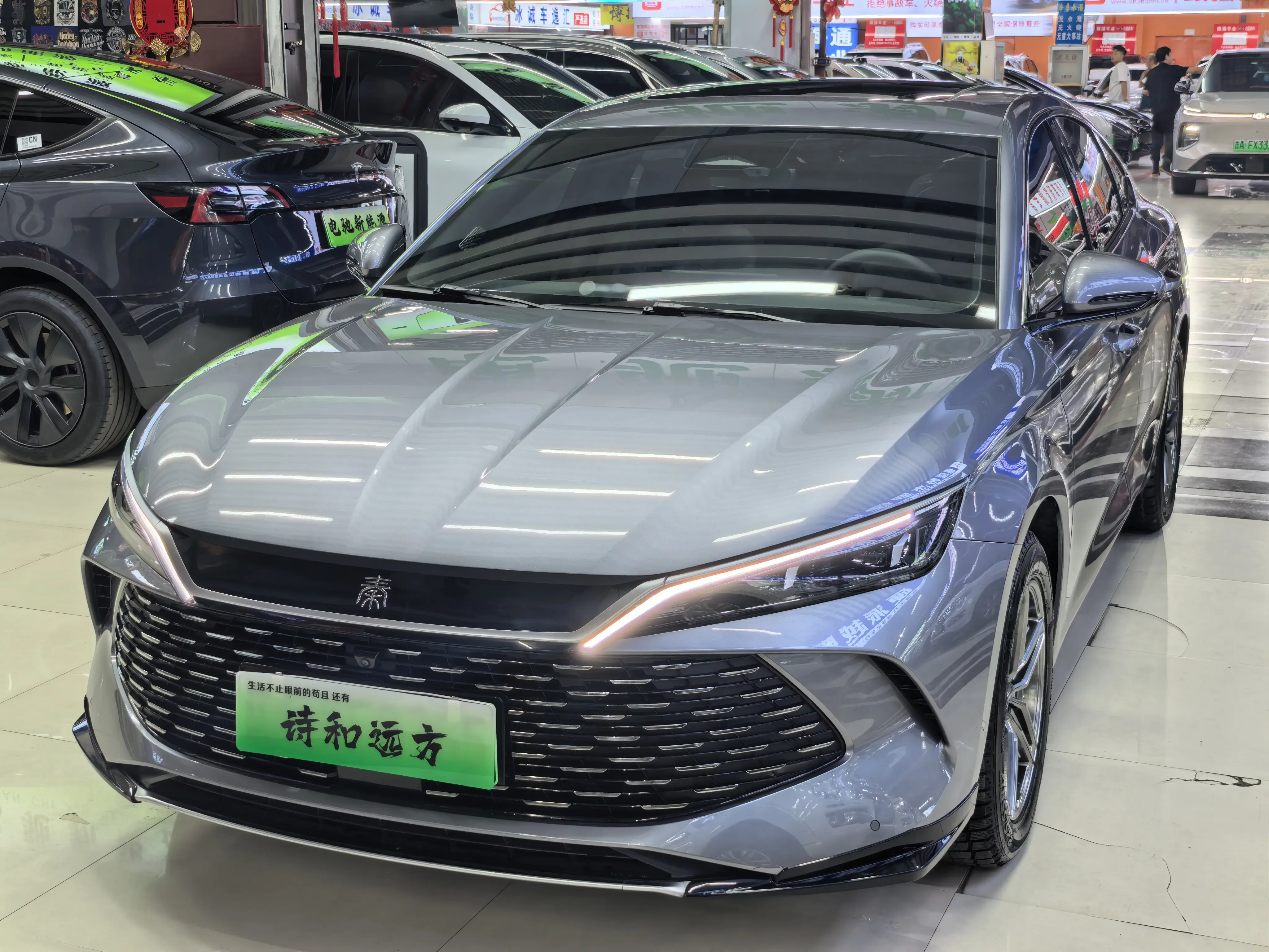 BYD Qin L DM