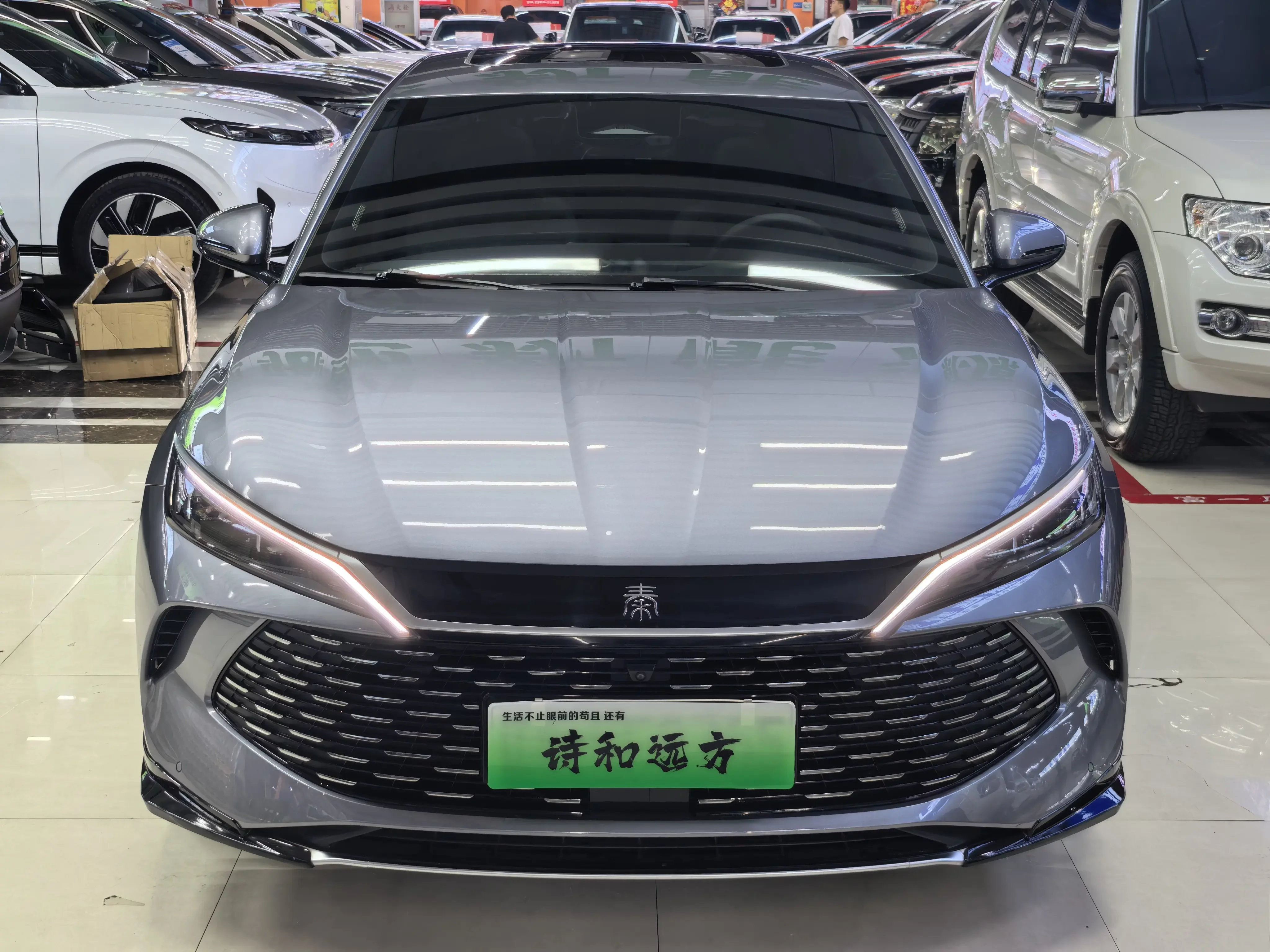 BYD Qin L DM