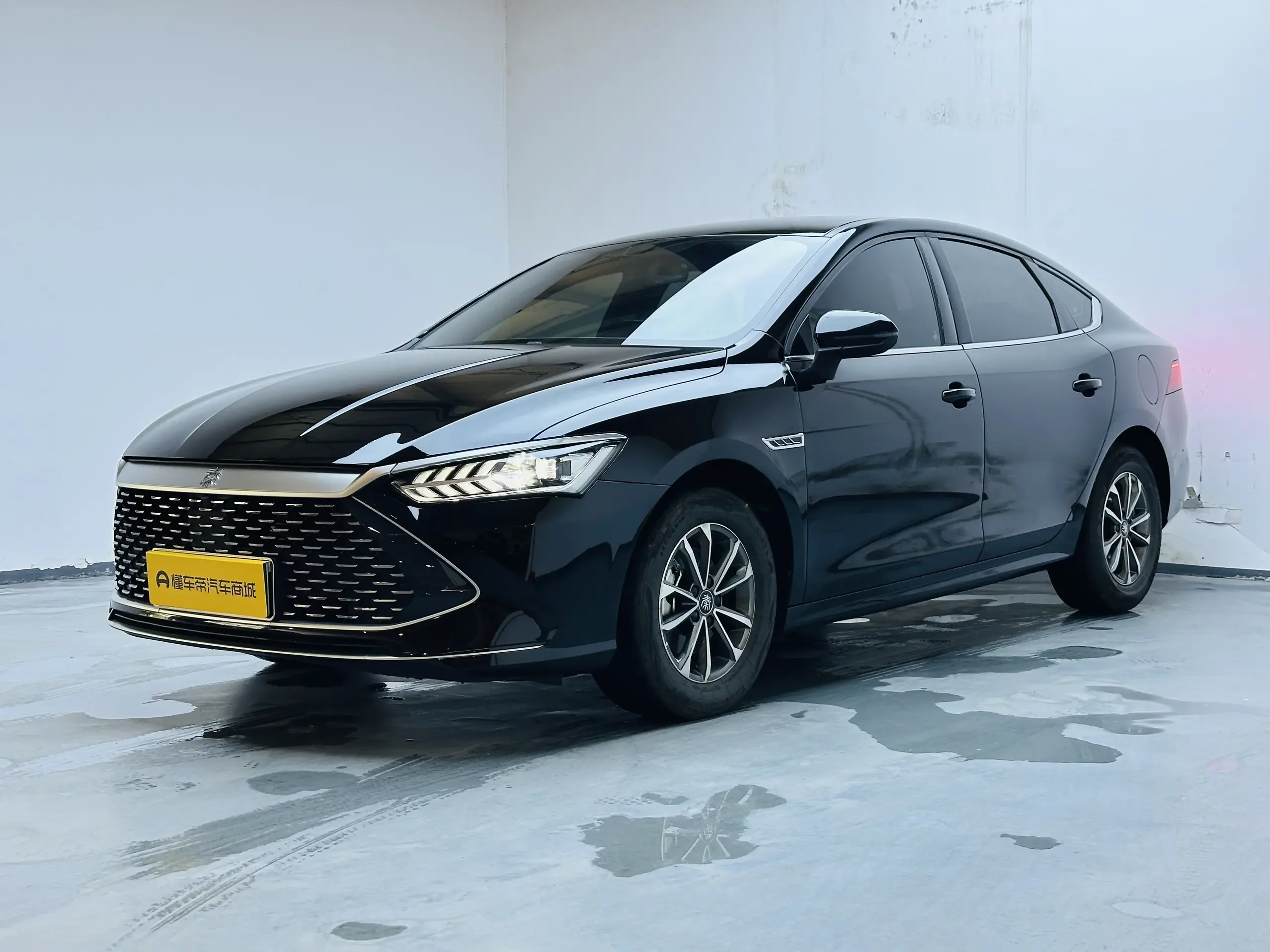 BYD Qin PLUS DM
