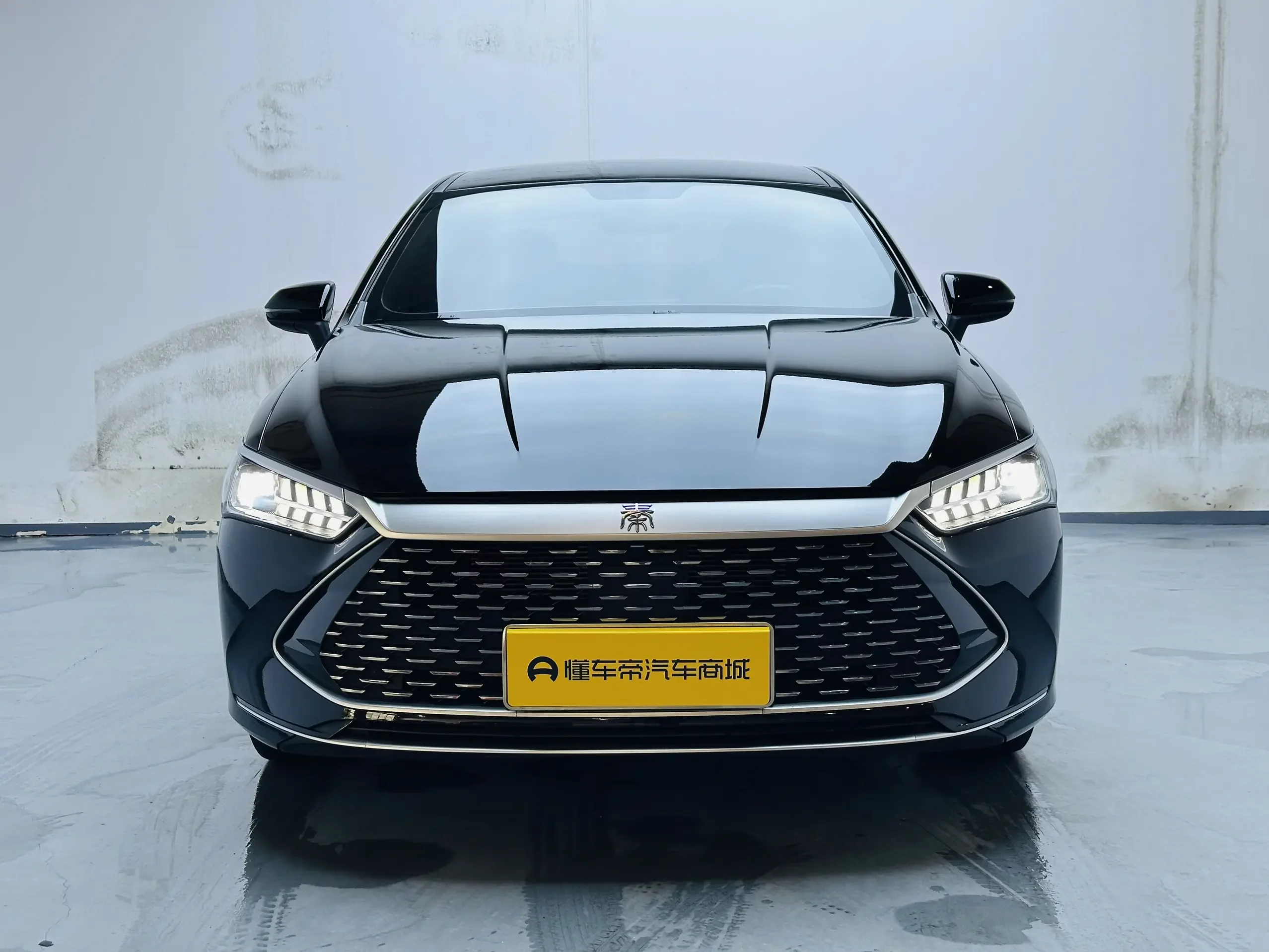 BYD Qin PLUS DM
