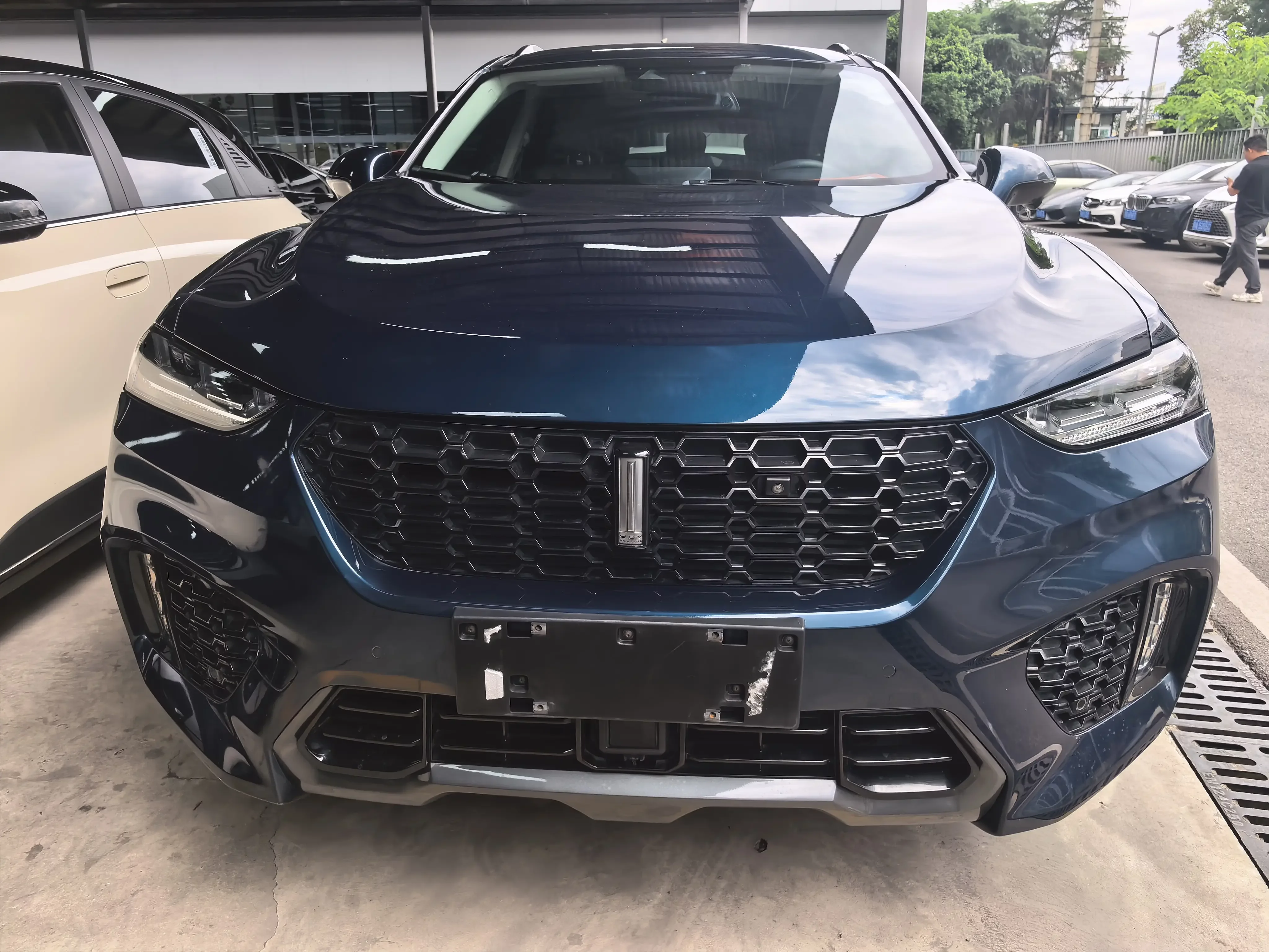 Wey Wei brand VV7