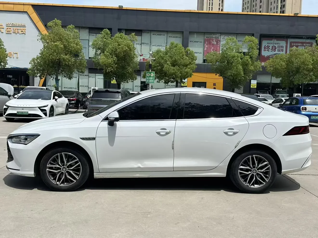 BYD Qin PLUS DM