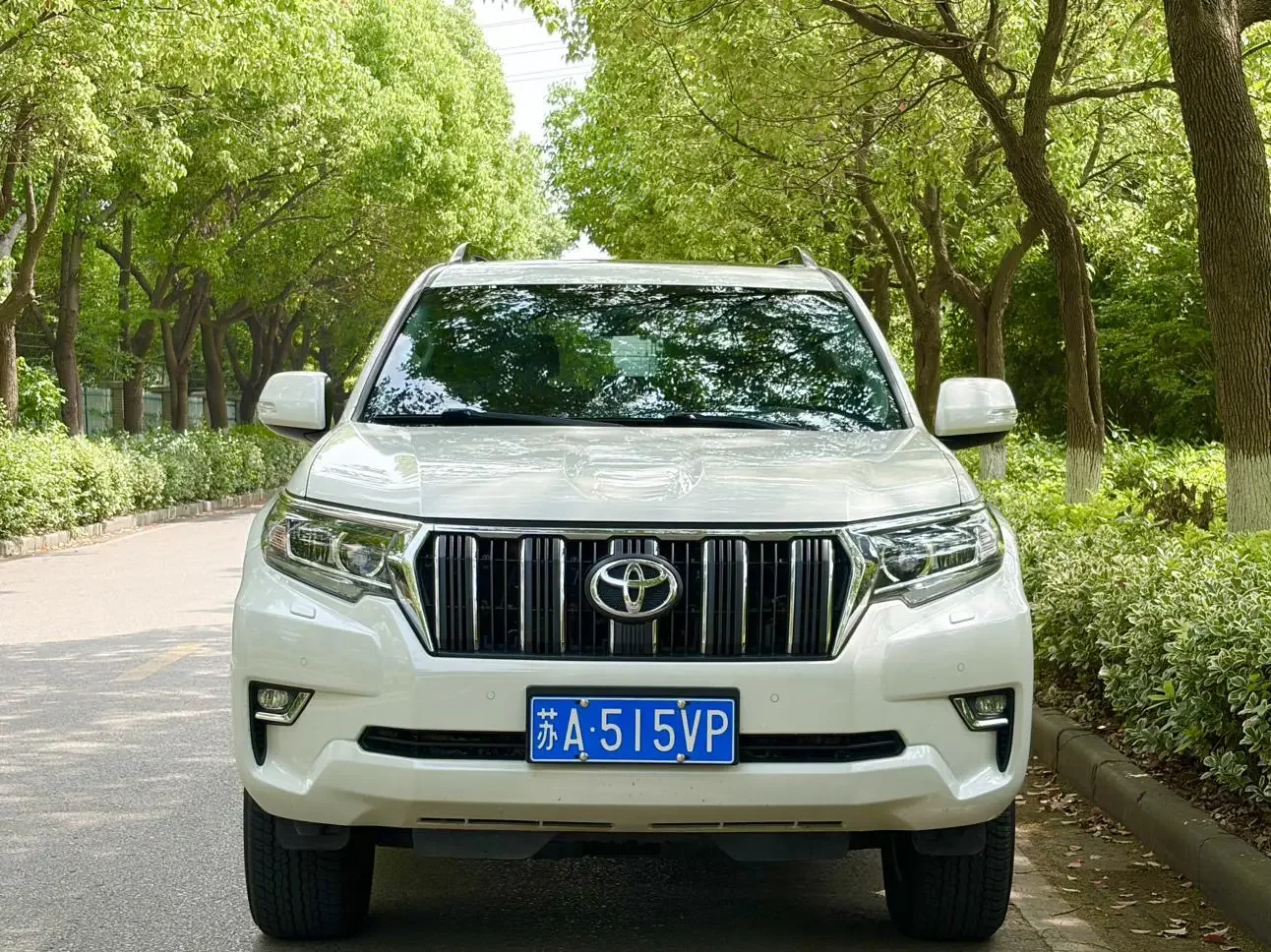 Toyota prado