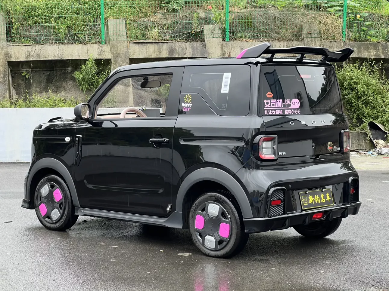 Geely panda