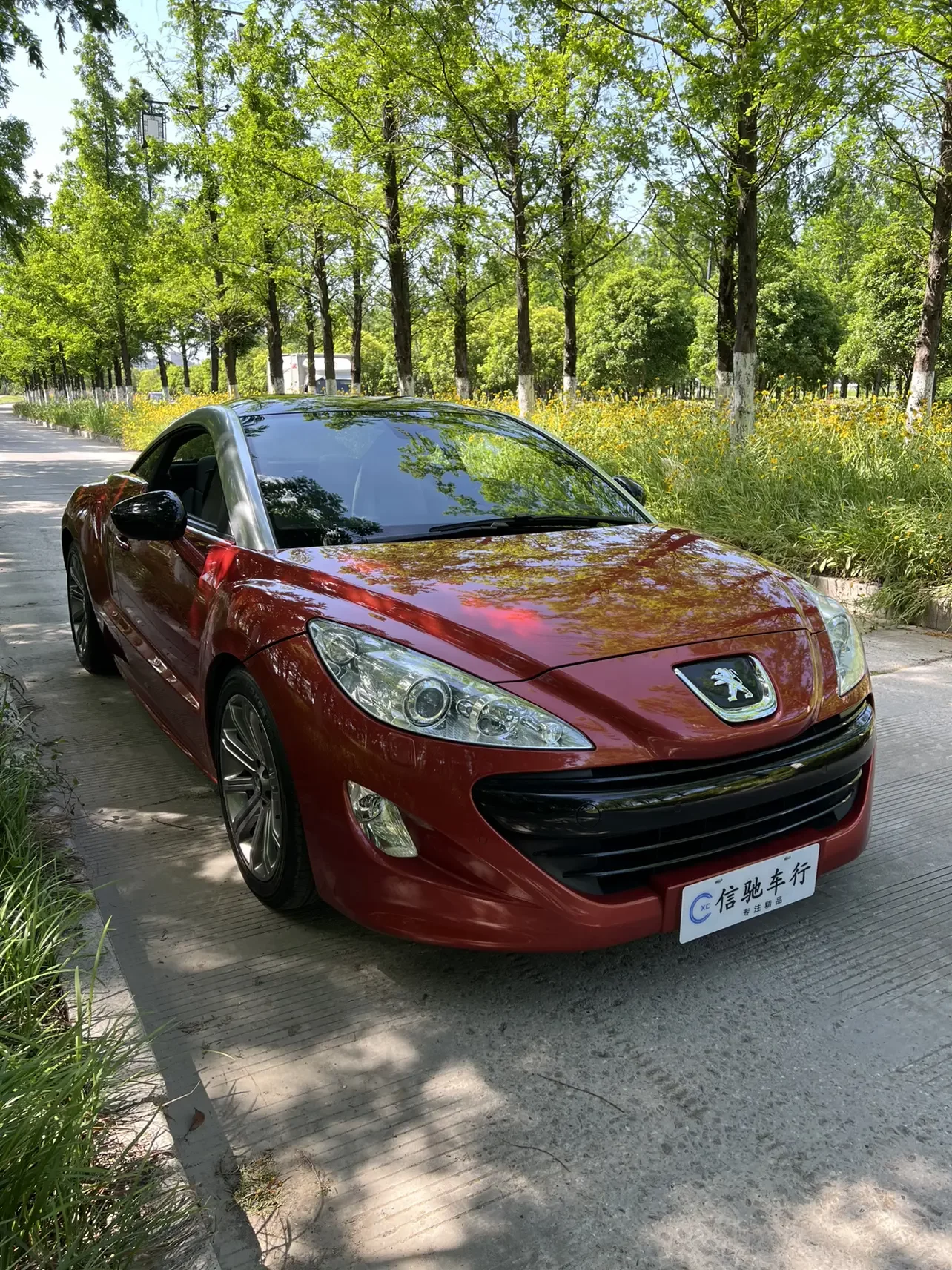Peugeot RCZ