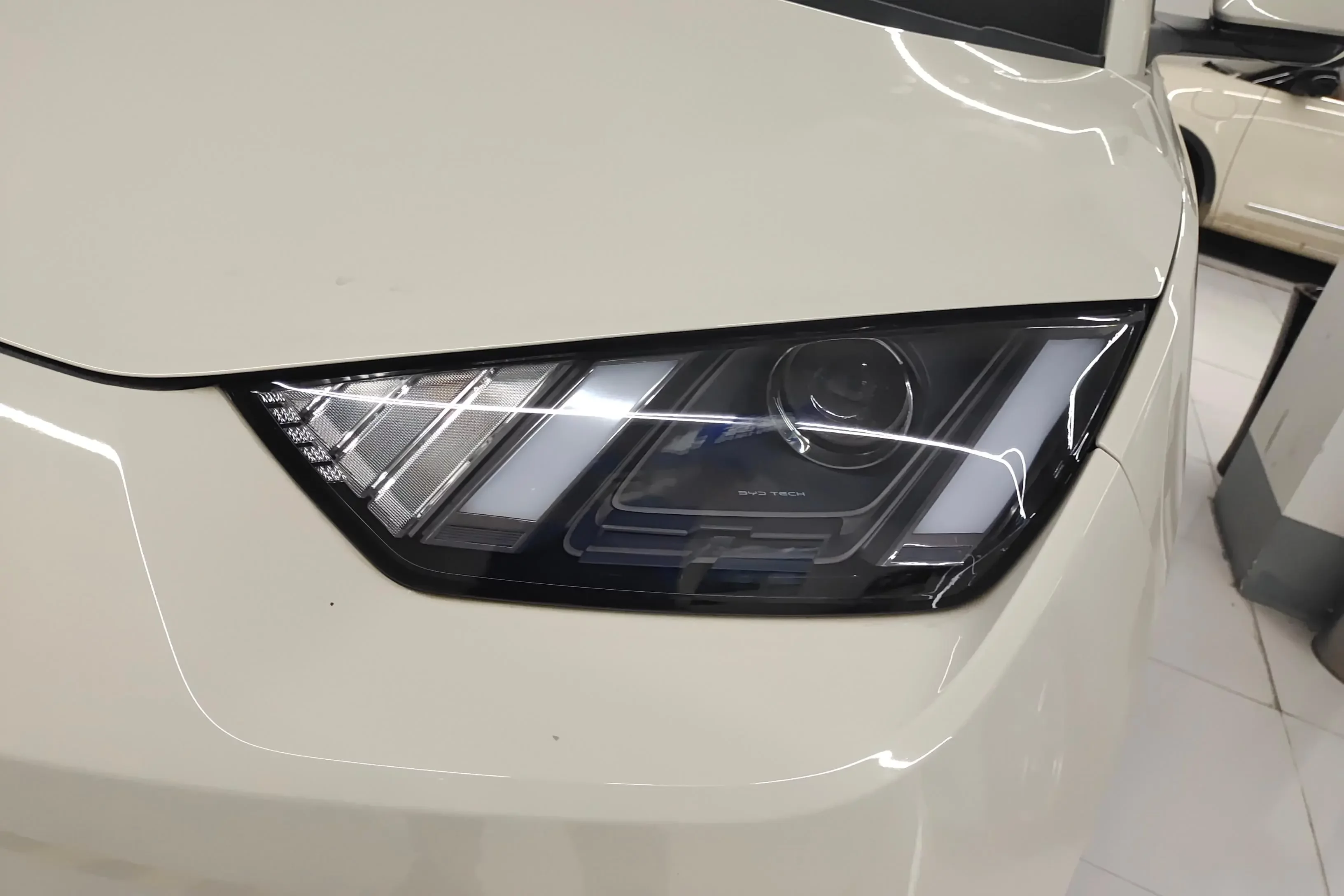 BYD seagull