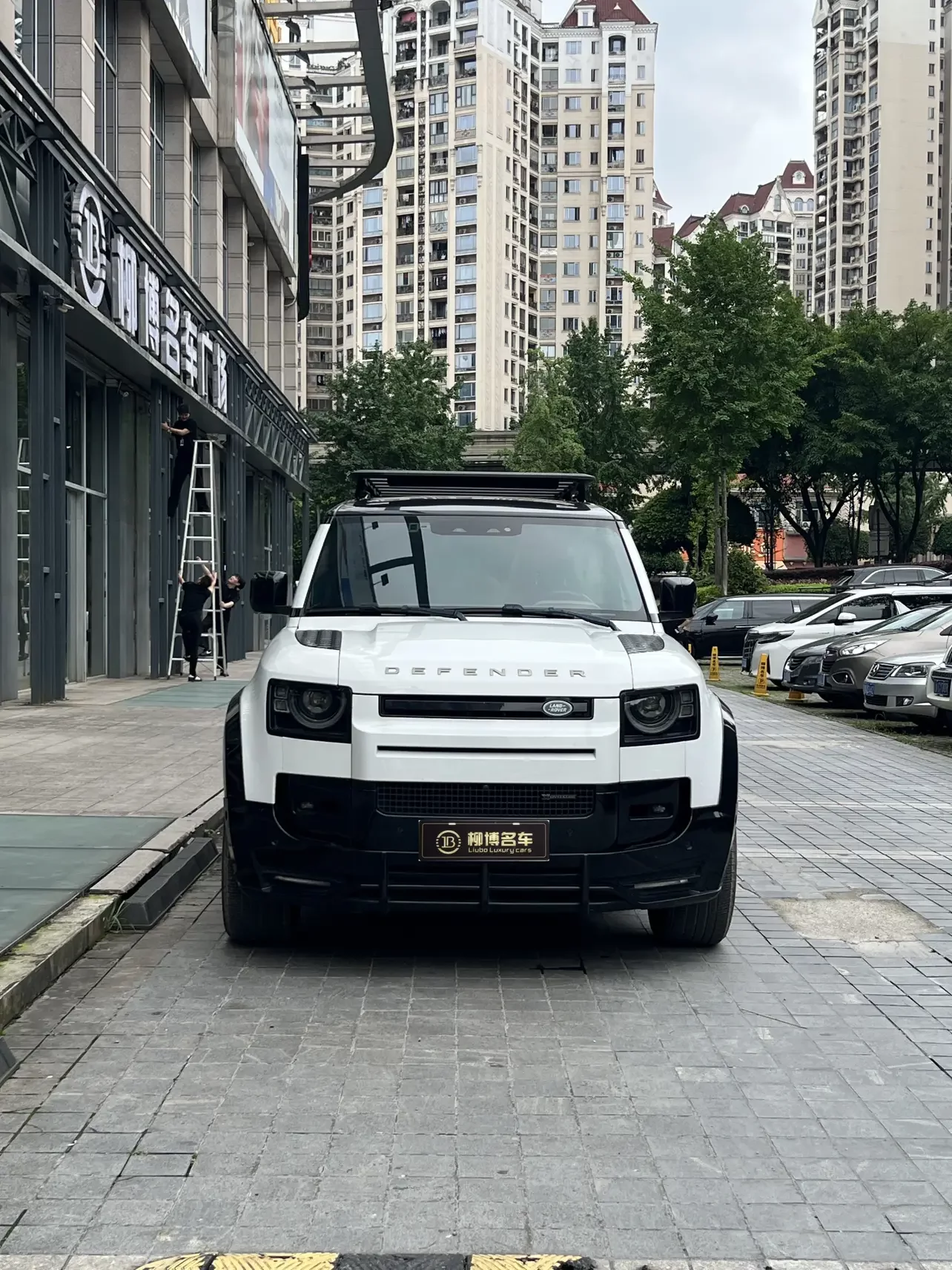 Land Rover guard