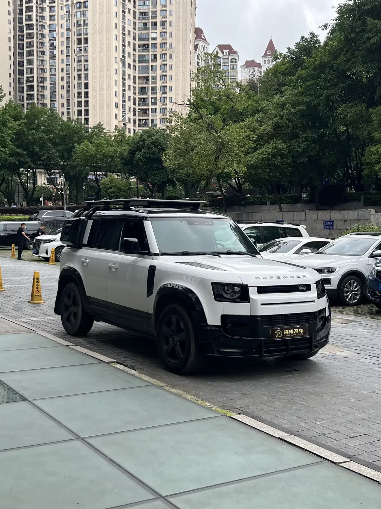 Land Rover guard