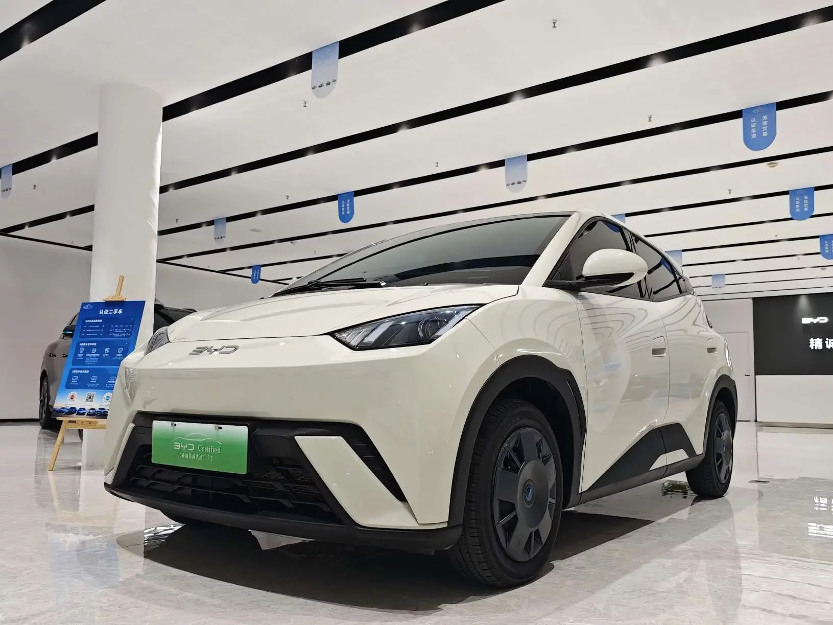 BYD seagull